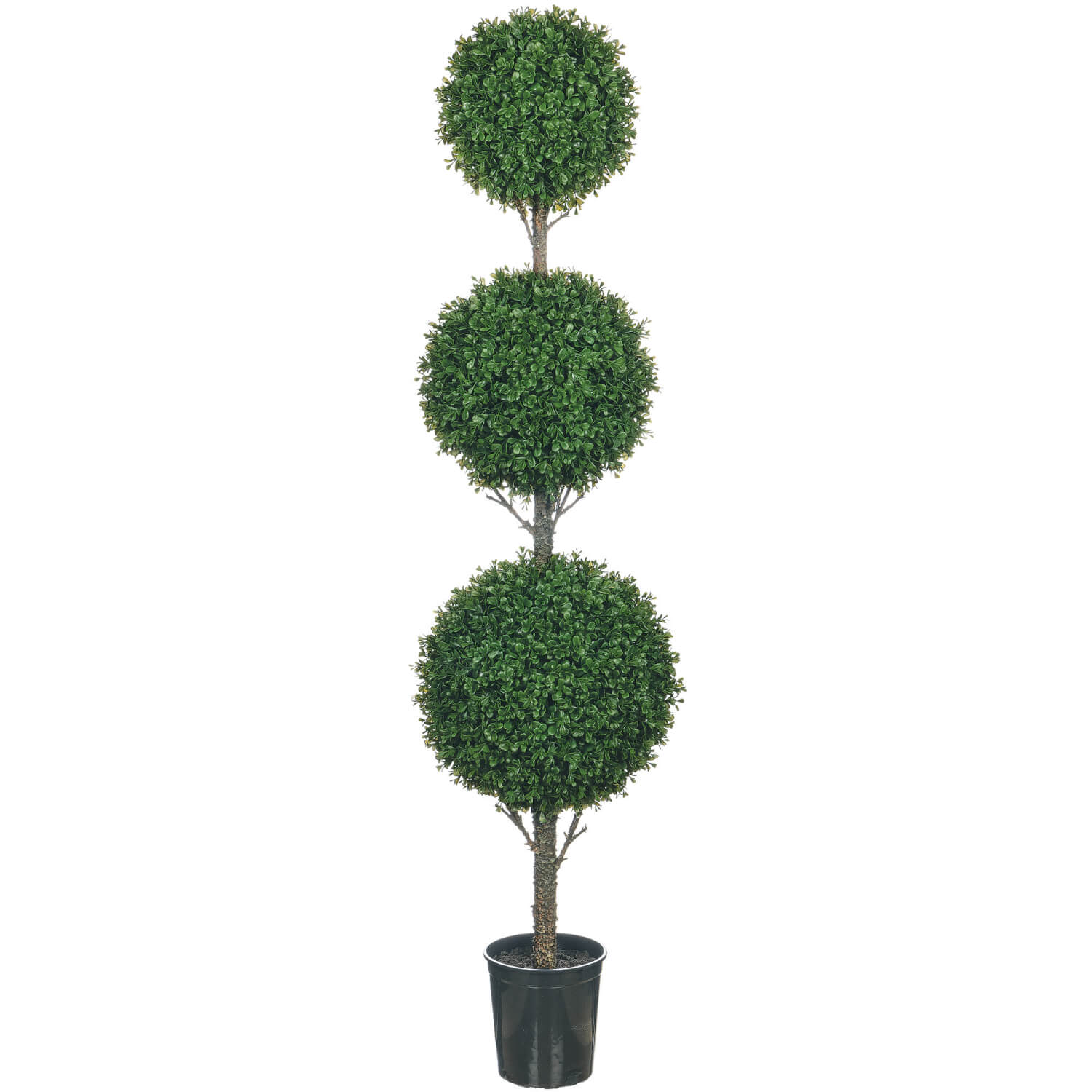 BOXWOOD 3 TIER TOPIARY TREE