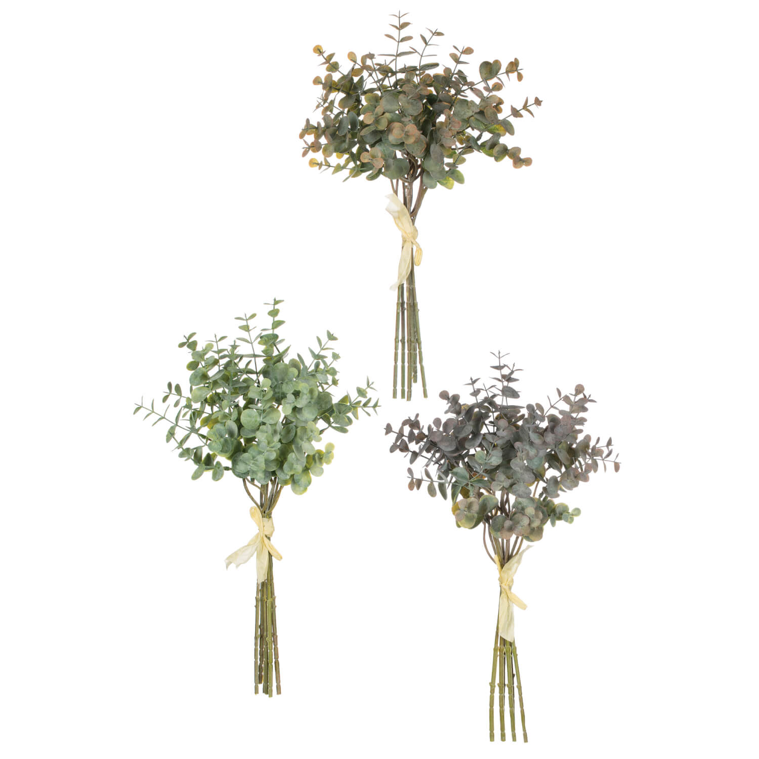 EUCALYPTUS BUNDLES