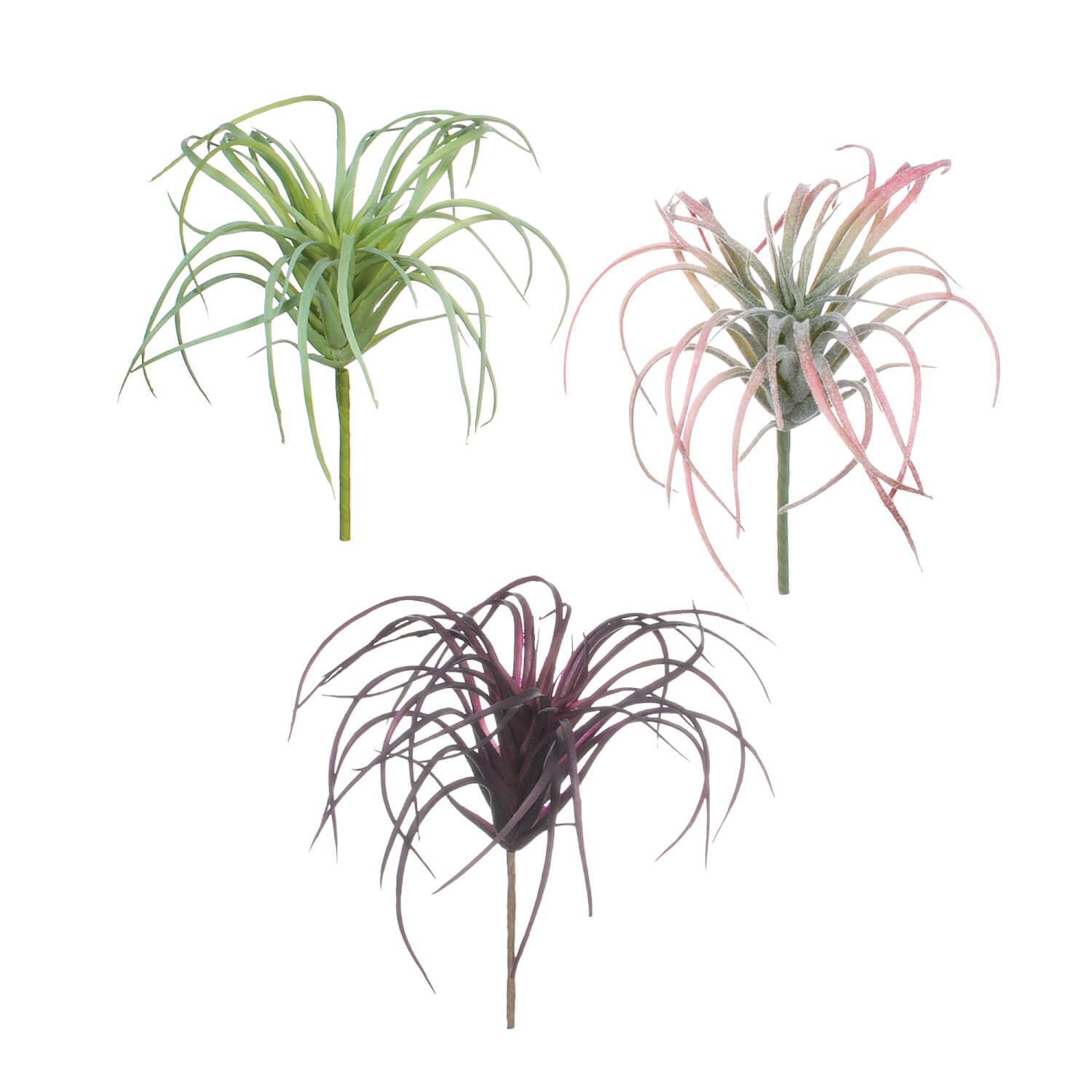 AIR PLANT 3 ASST