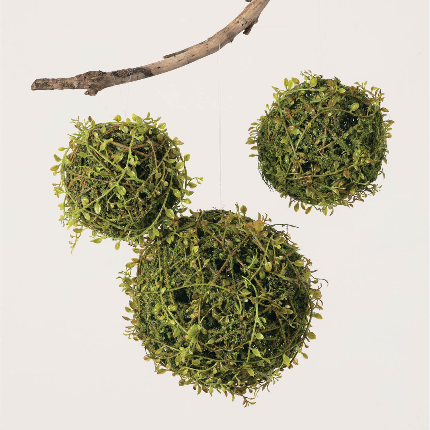 MOSSY LEAFY VINE ORB SET OF 3