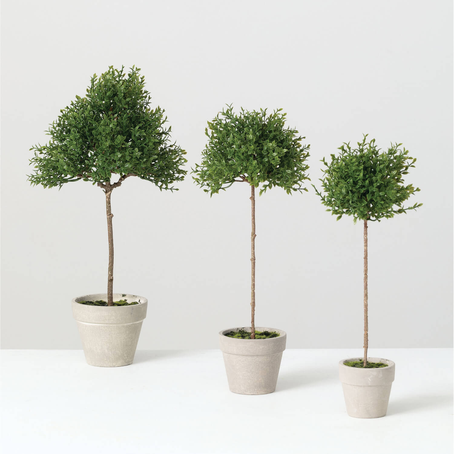 TEA LEAF TOPIARY SET OF 3