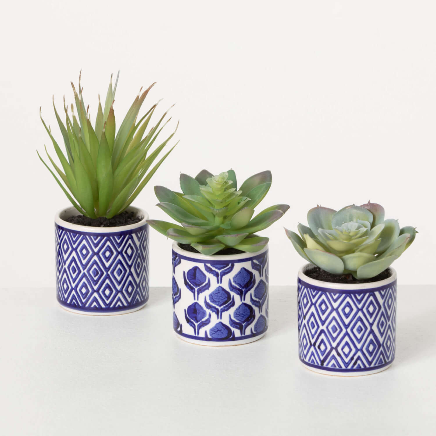 SUCCULENT TRIO IN PRINTED POTS