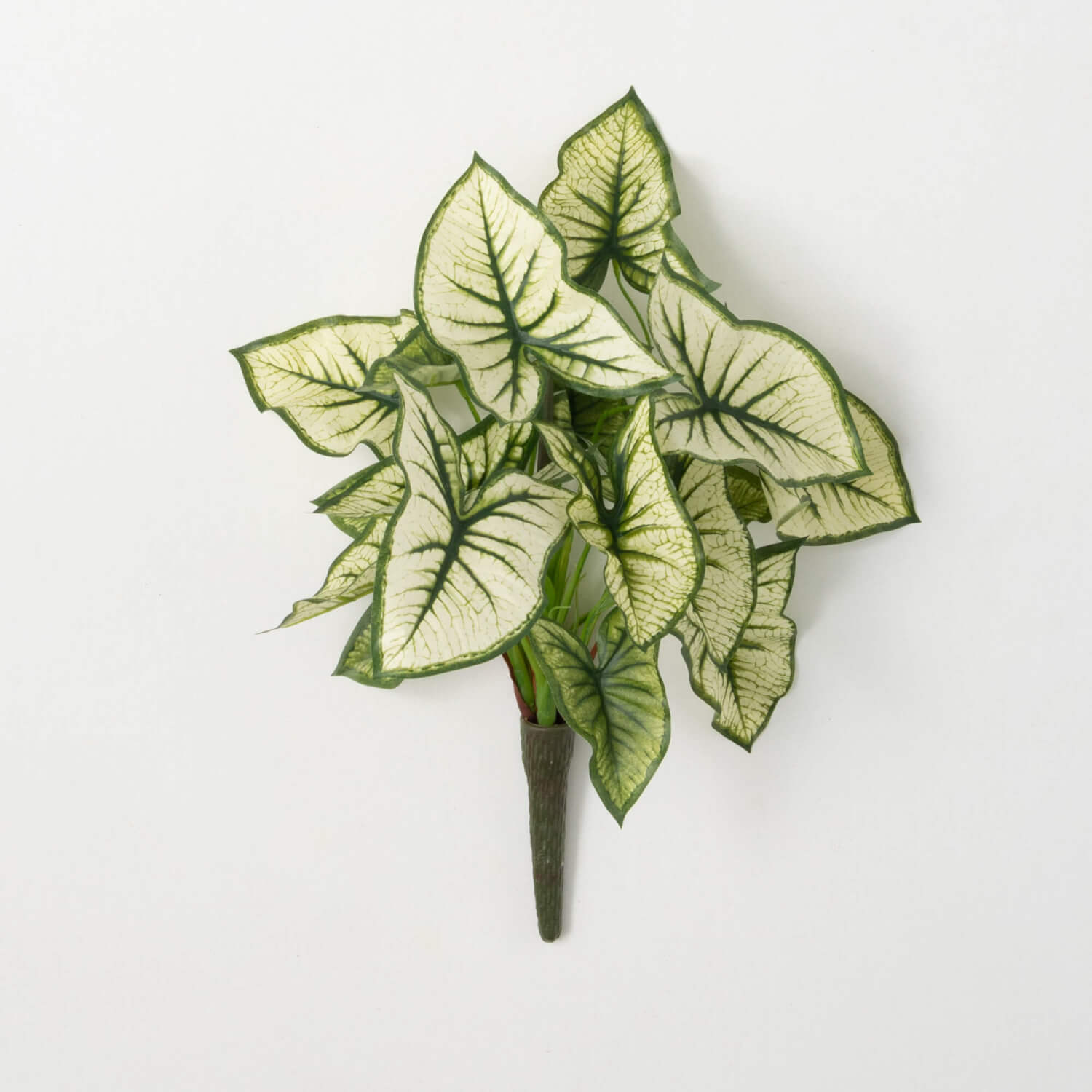 SYNGONIUM VARIEGATED LEAF BUSH