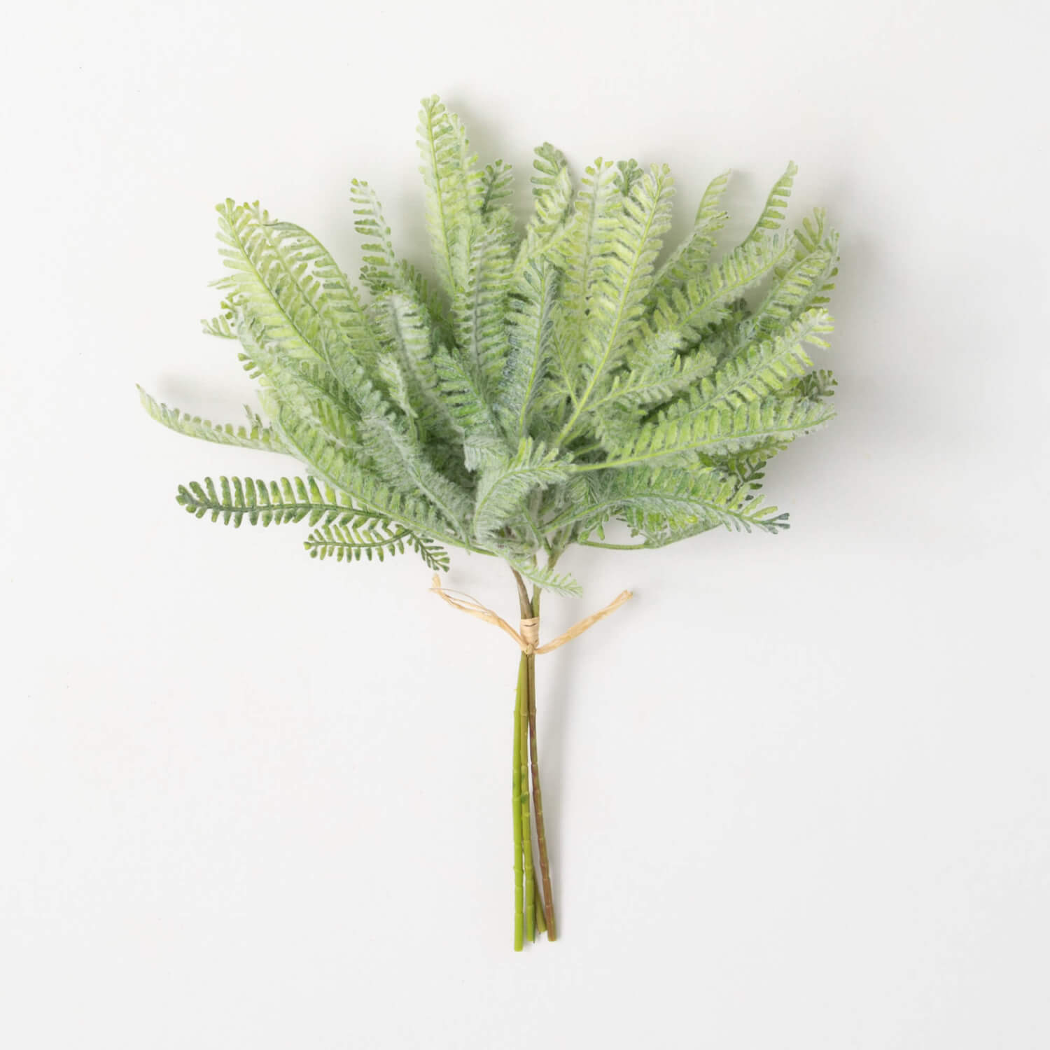 MINI MINT GREEN FERN BUSH