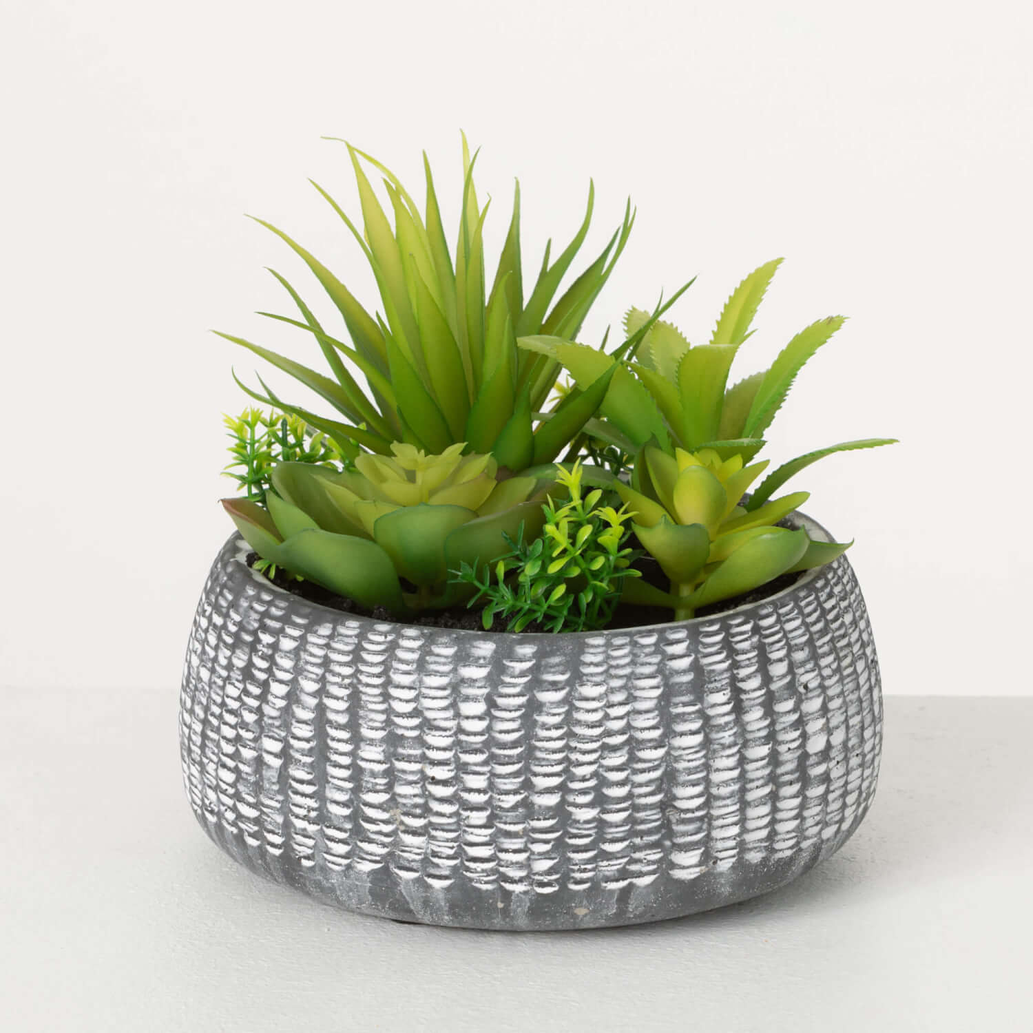 SUCCULENT CEMENT PREMADE