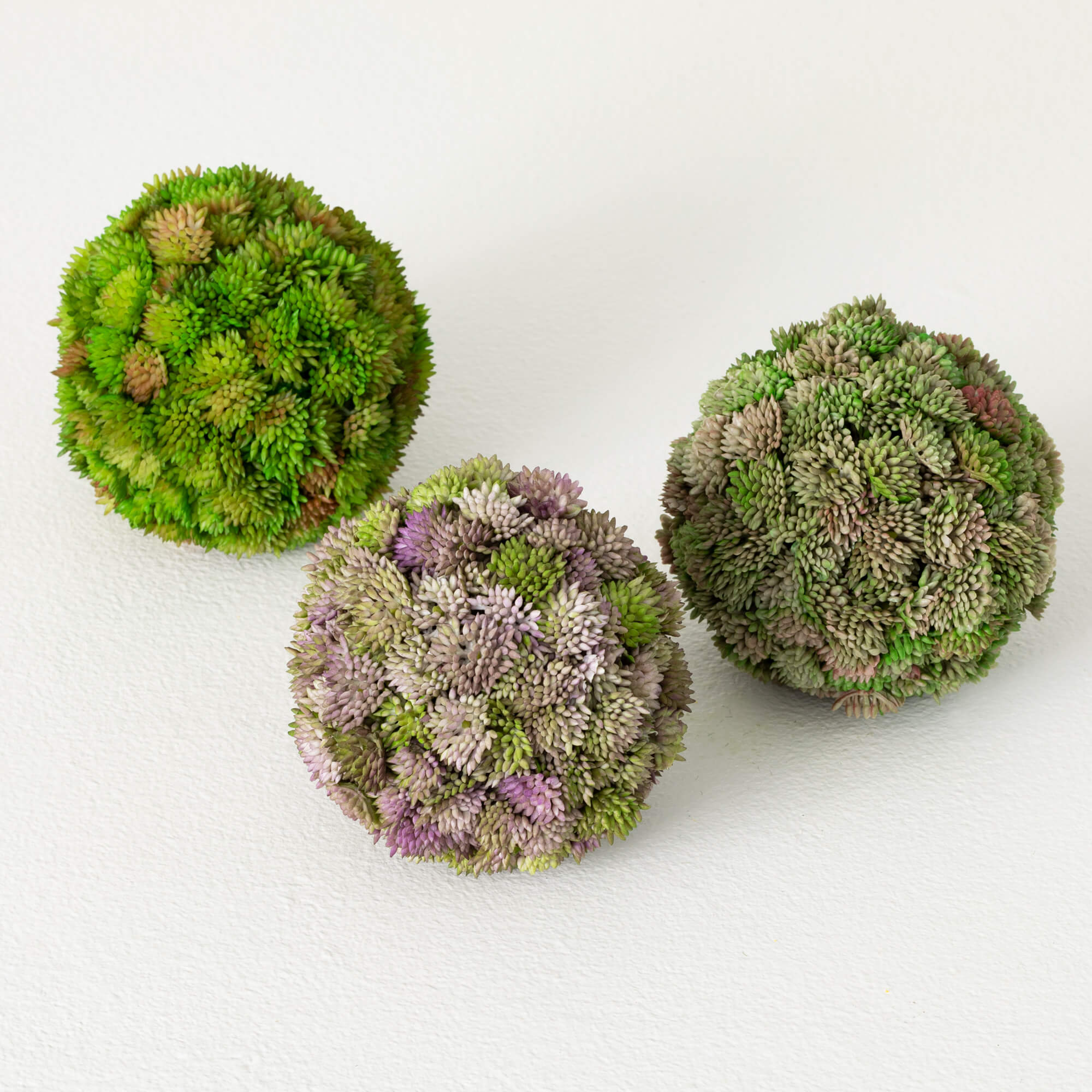 COLORFUL SEDUM ORB SET OF 3