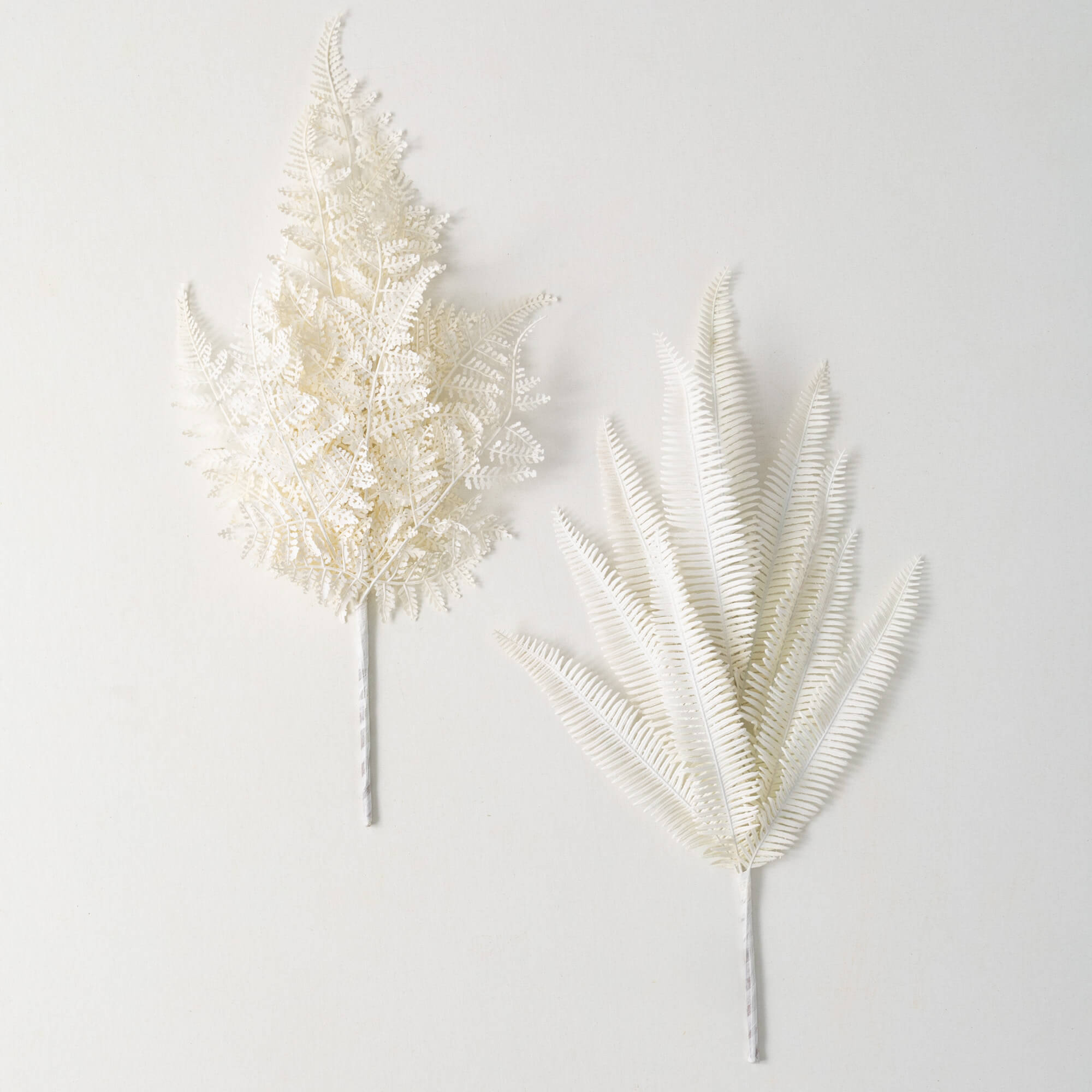 CREAM LACE FERN BUSH SET