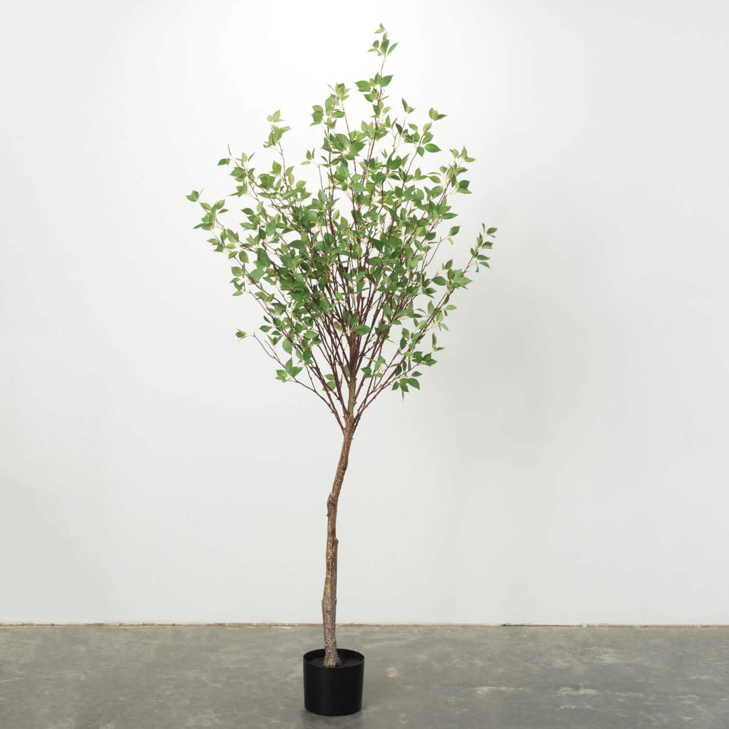 MOUNTAIN LEAF POTTED TREE