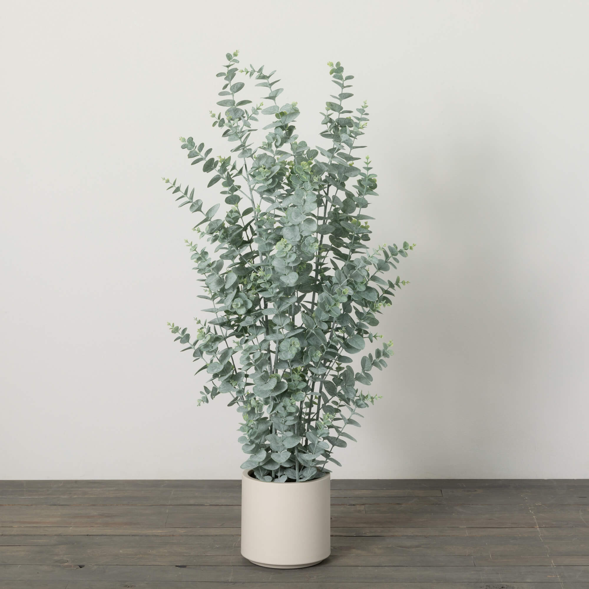 POTTED EUCALYPTUS TREE