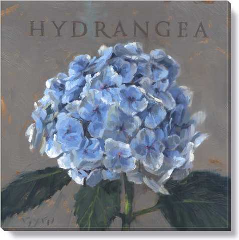 HYDRANGEA GICLEE WALL ART