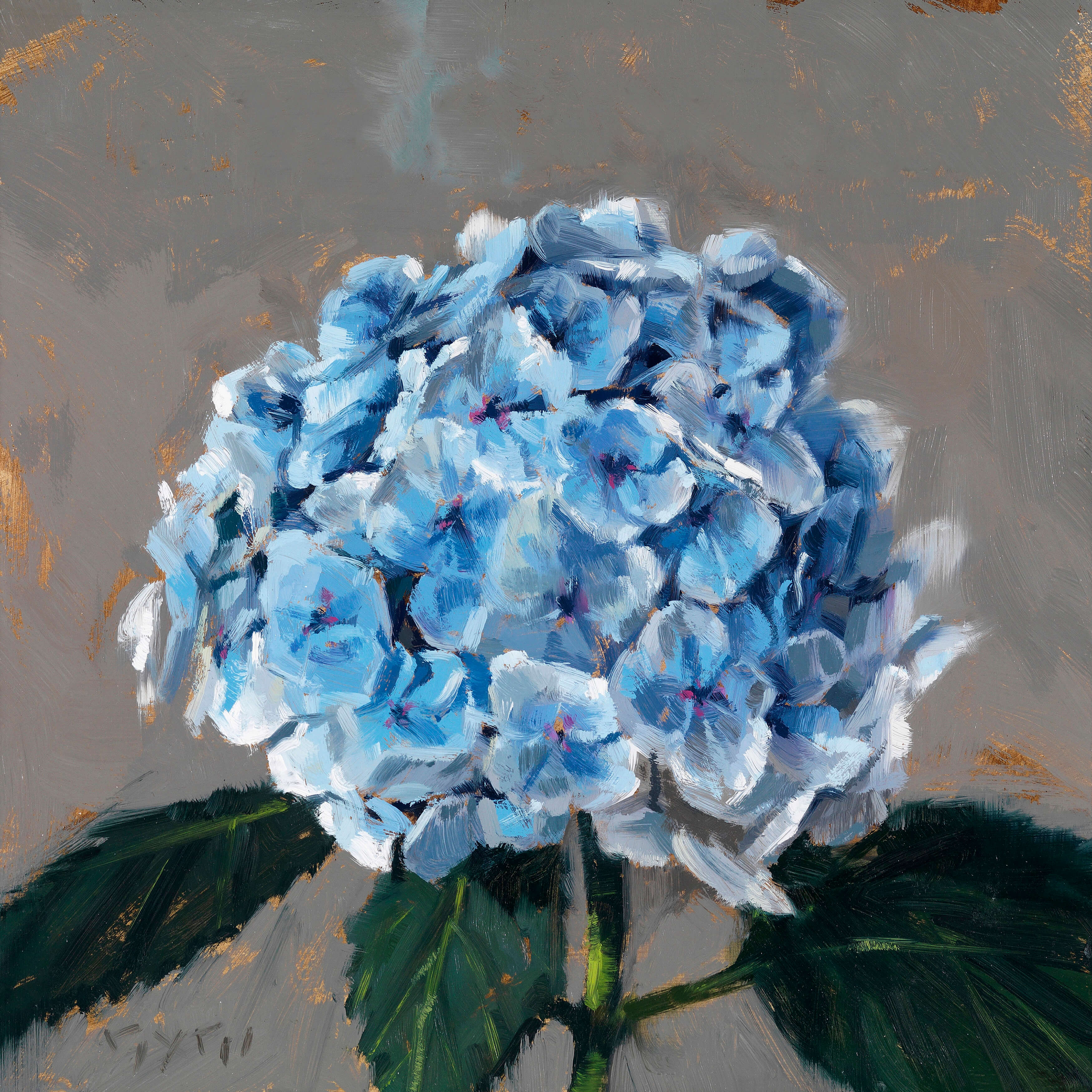 HYDRANGEA GICLEE ARTWORK