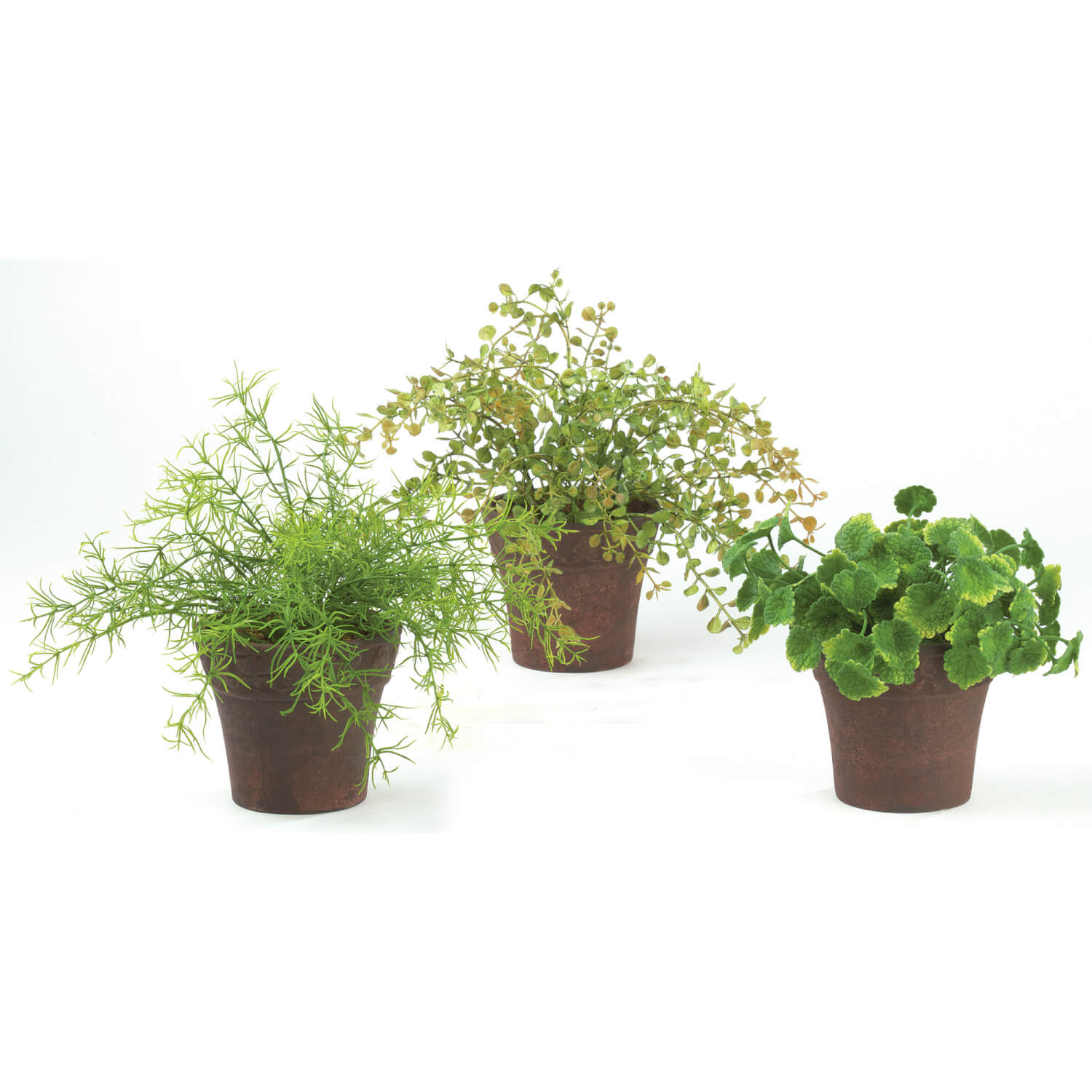 MINI FOLIAGE PLANT SET OF 3