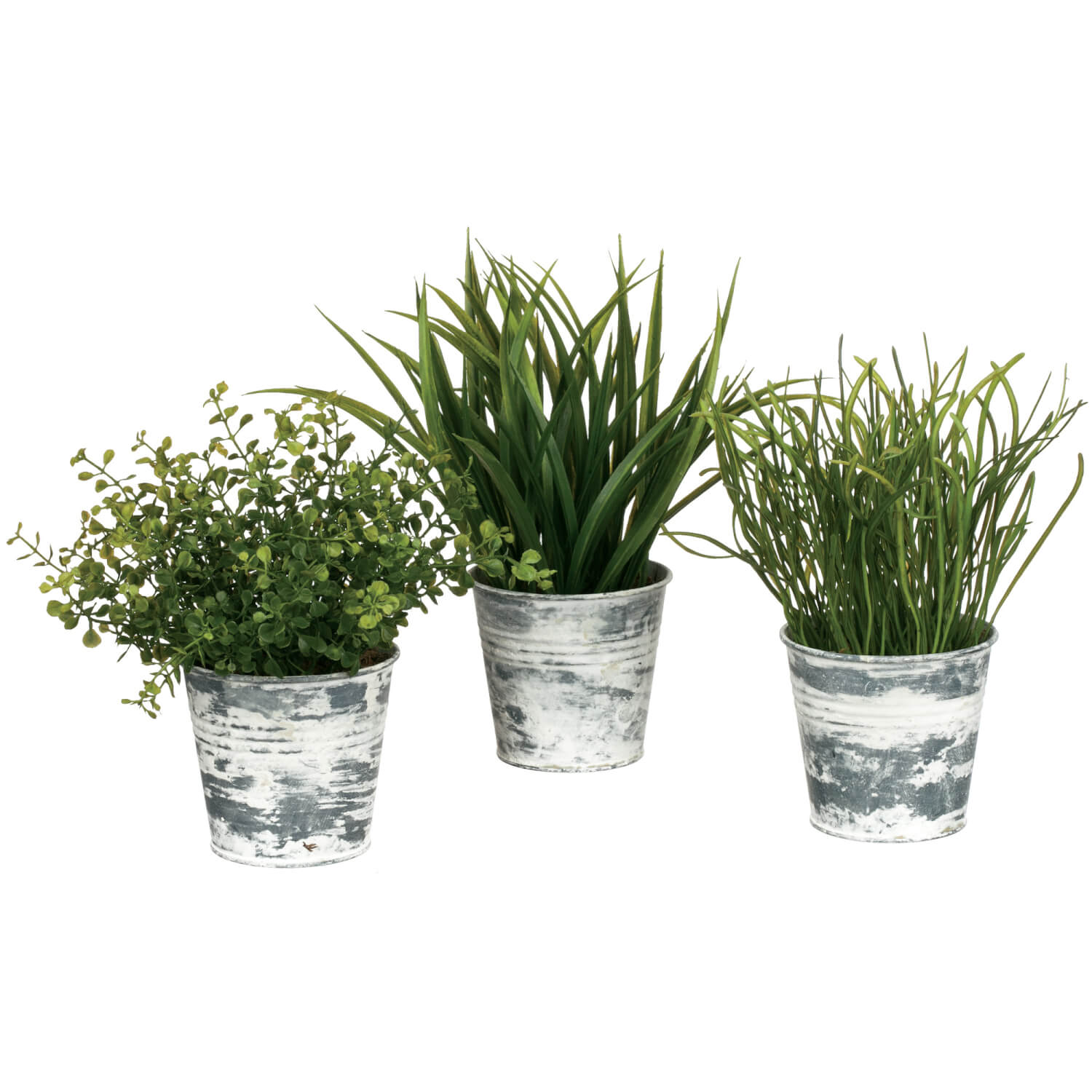 POTTED GRASS PLANT 3 ASST