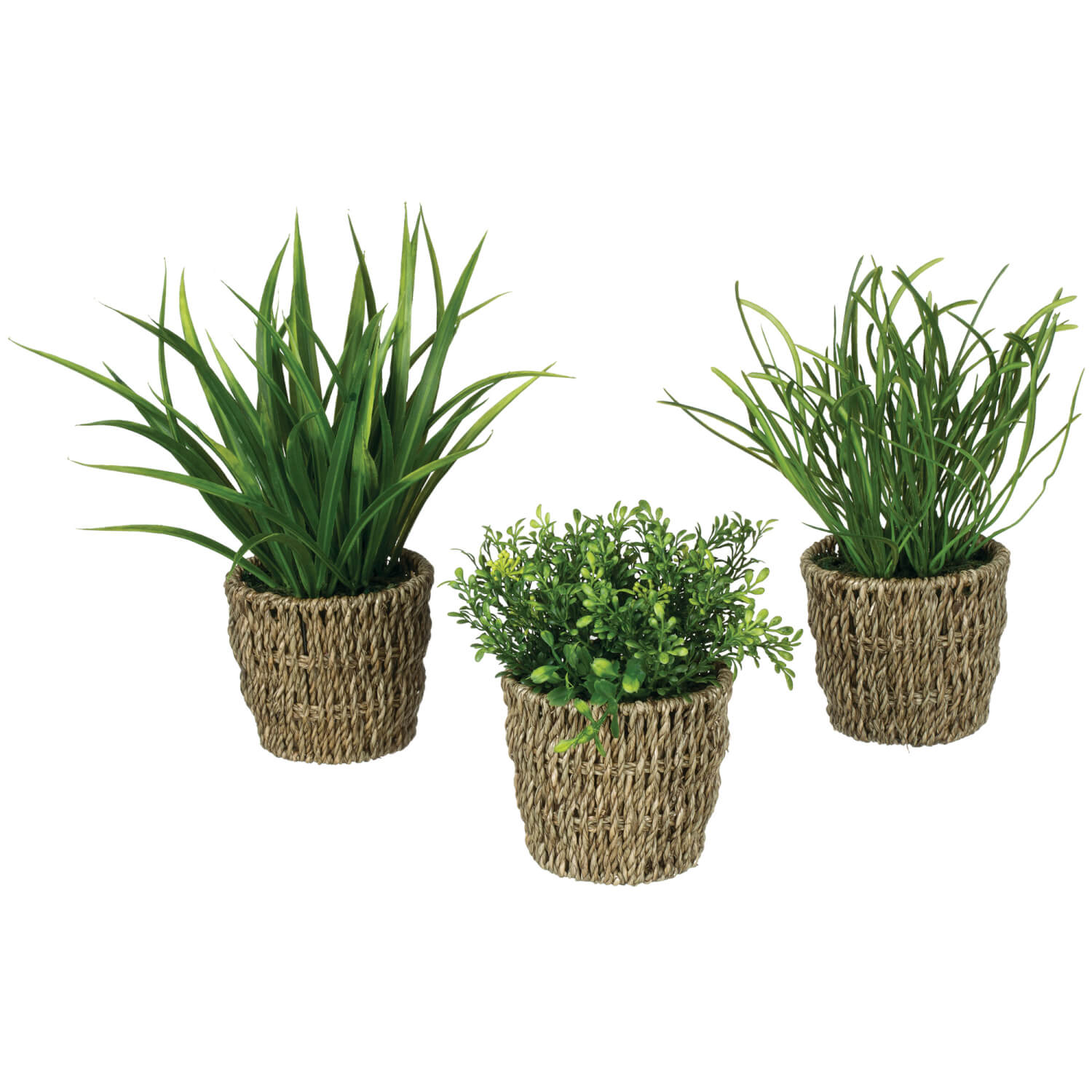 POTTED GREEN PLANT PREMADE SET