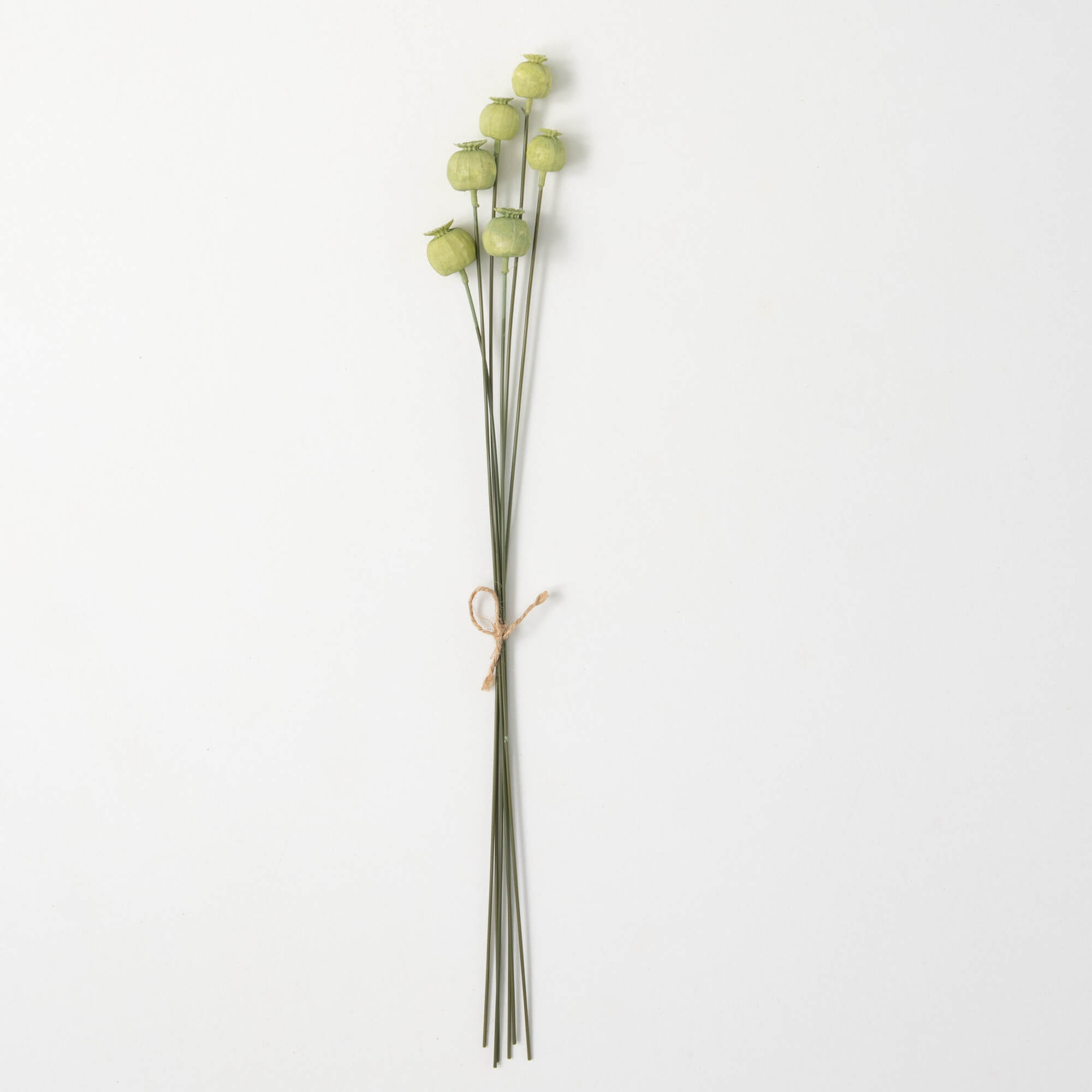 SOFT GREEN POPPY POD SPRAY