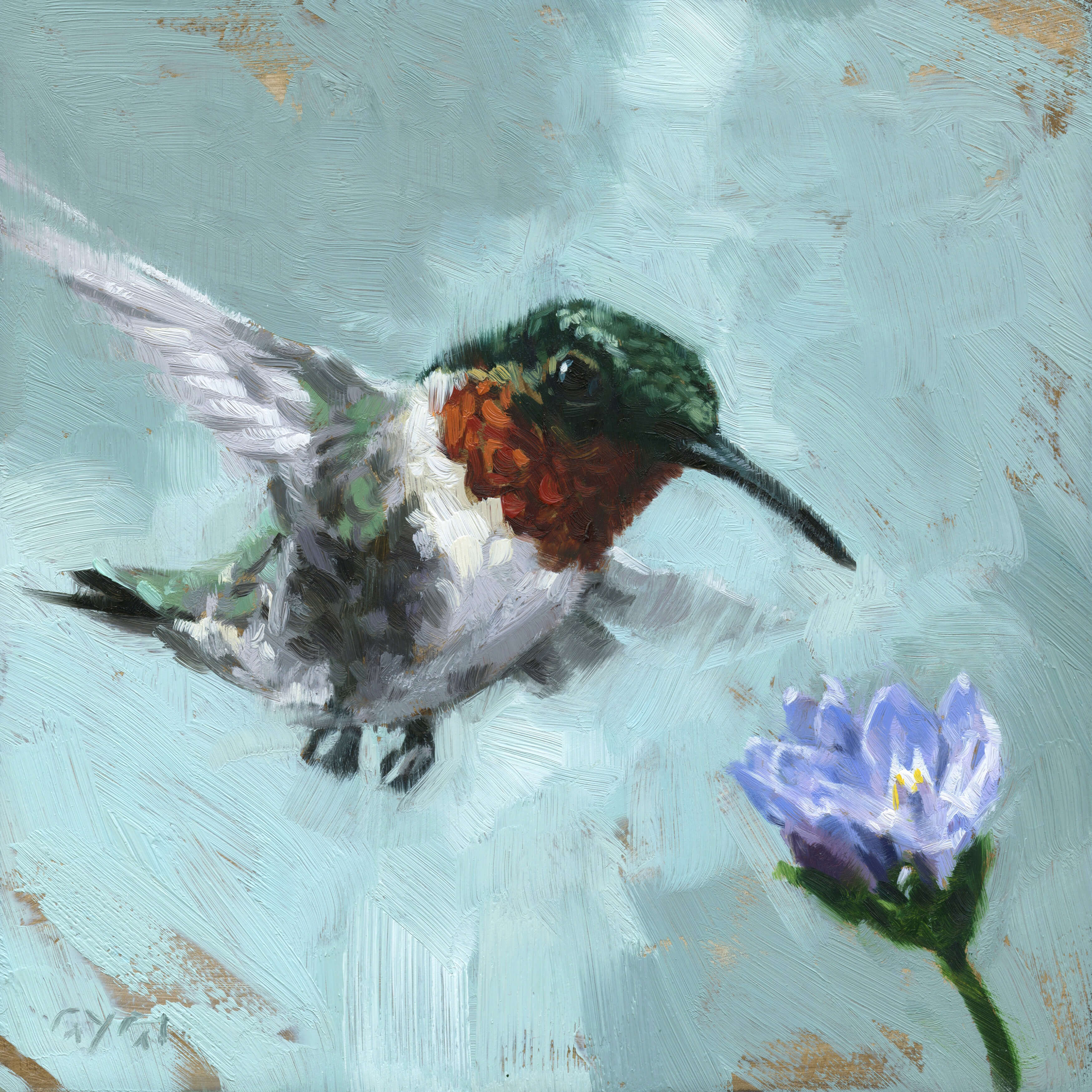 HUMMINGBIRD GICLEE ARTWORK