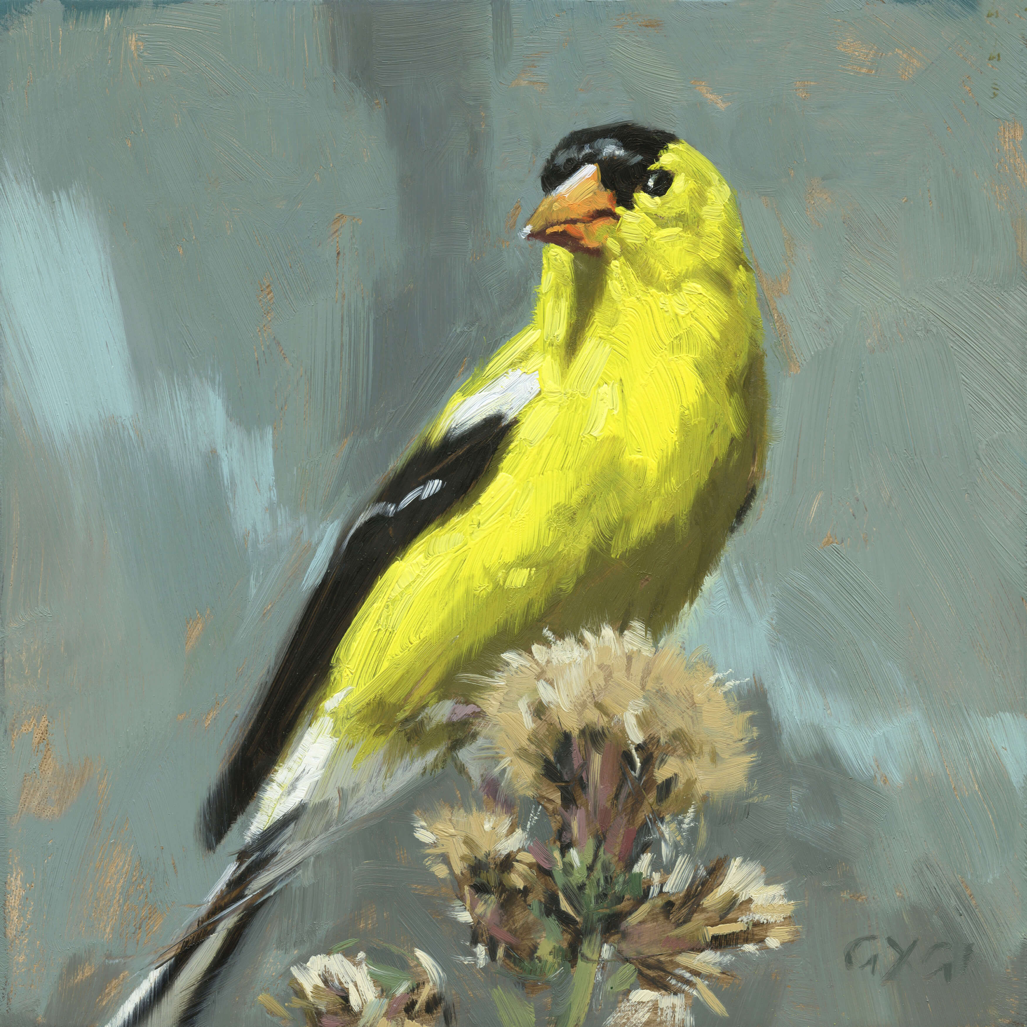 GOLDFINCH GICLEE ARTWORK