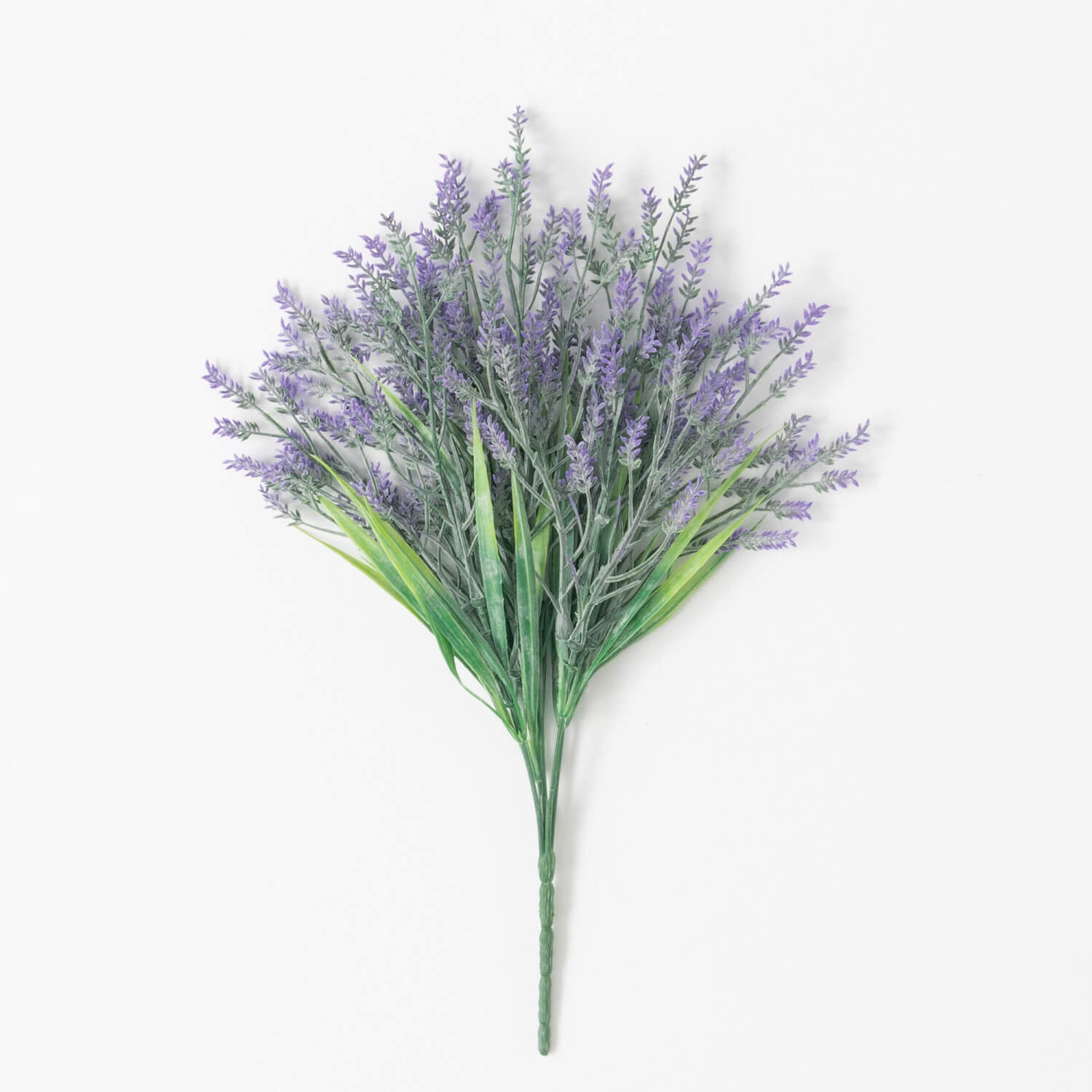 LAVENDER BUSH