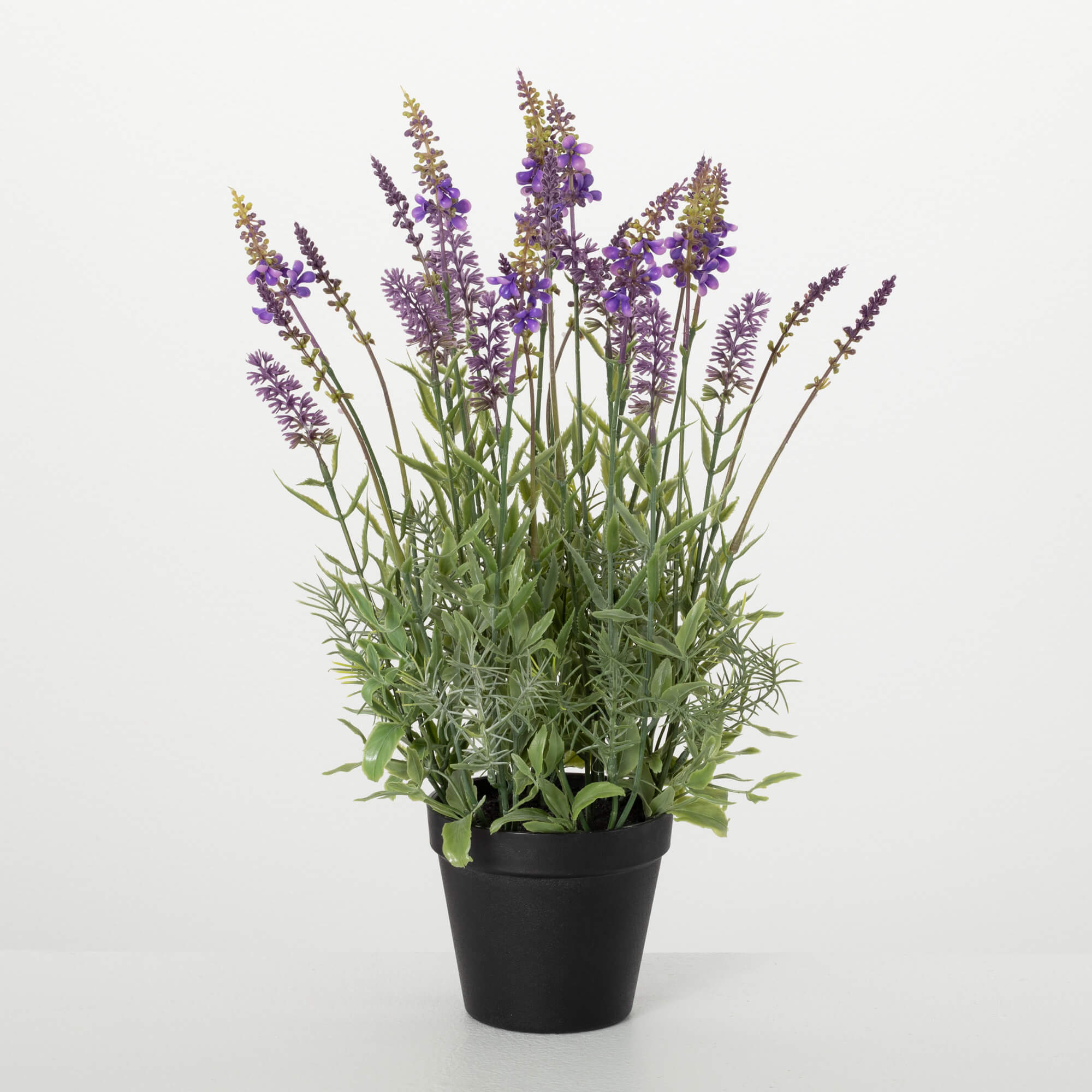 POTTED LAVENDER