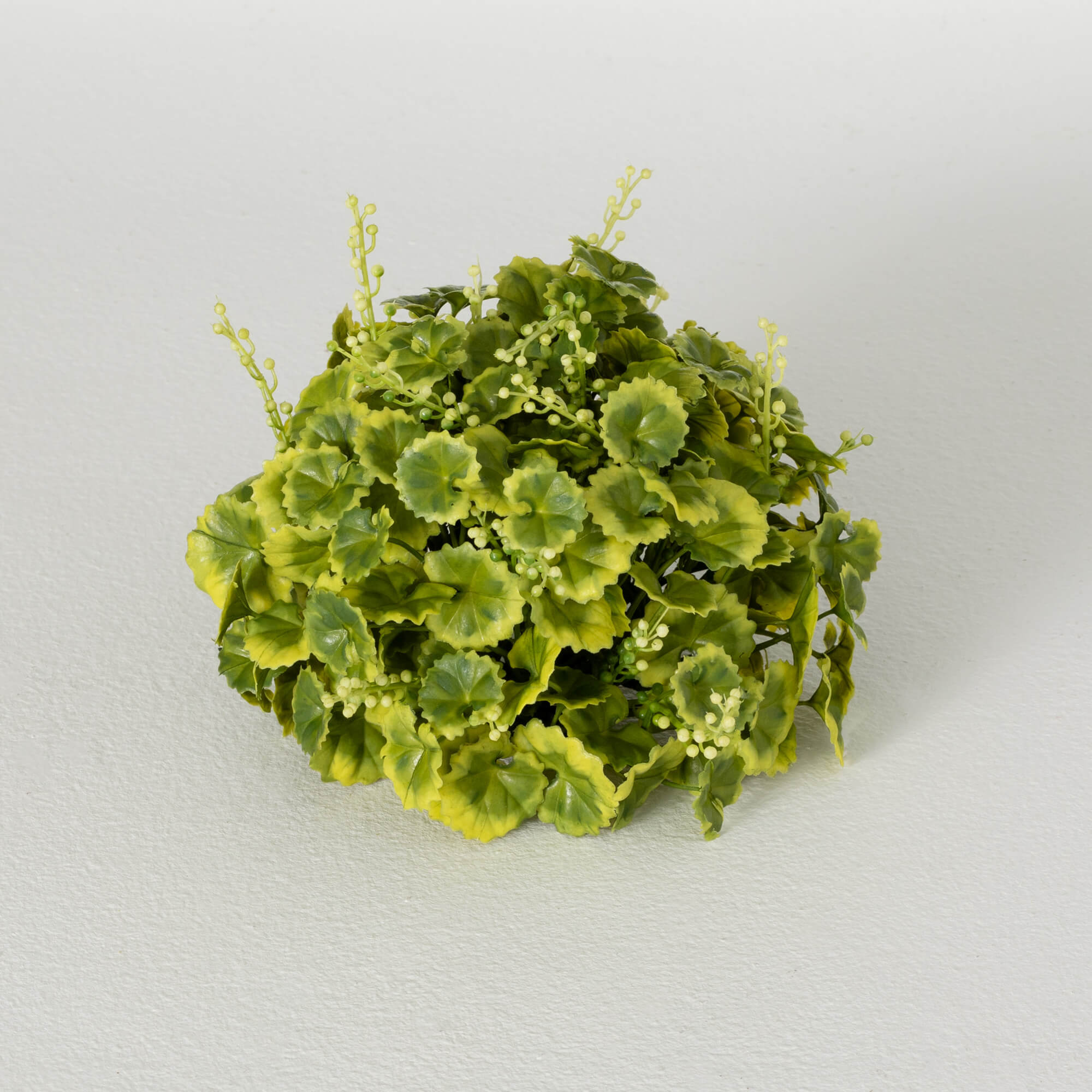 VARIEGATED FOLIAGE ORB