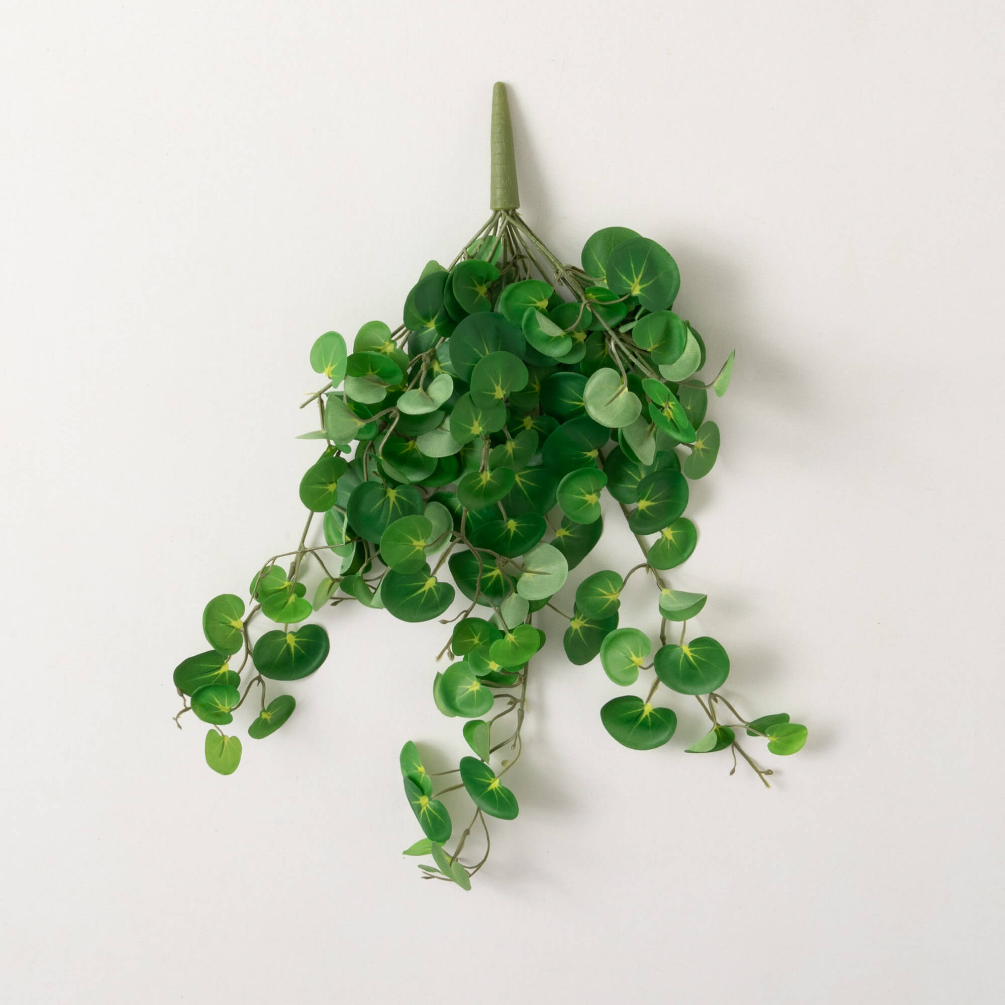 HANGING GREEN BEGONIA BUSH