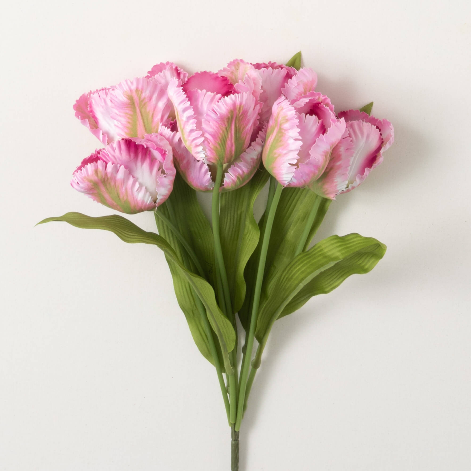 PINK SCALLOPED TULIP BUSH