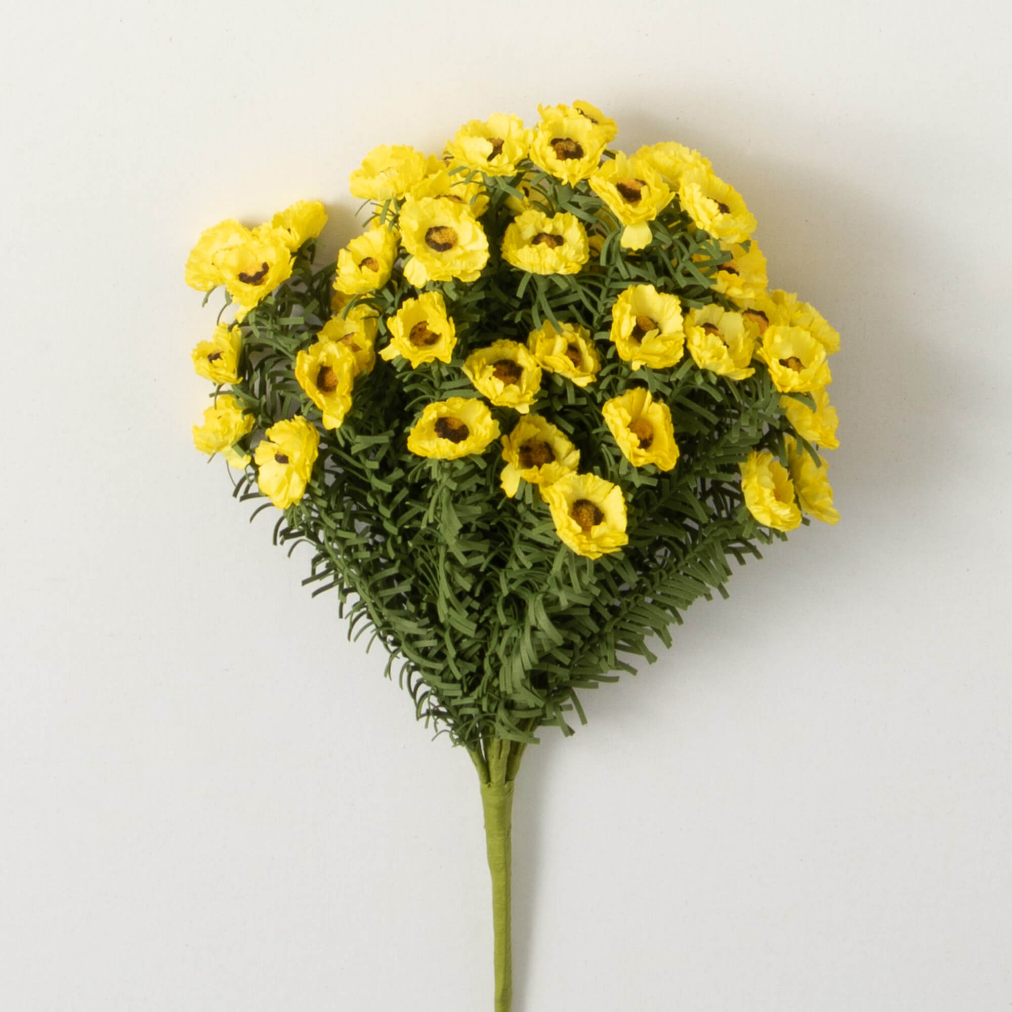 YELLOW DAISY BUSH