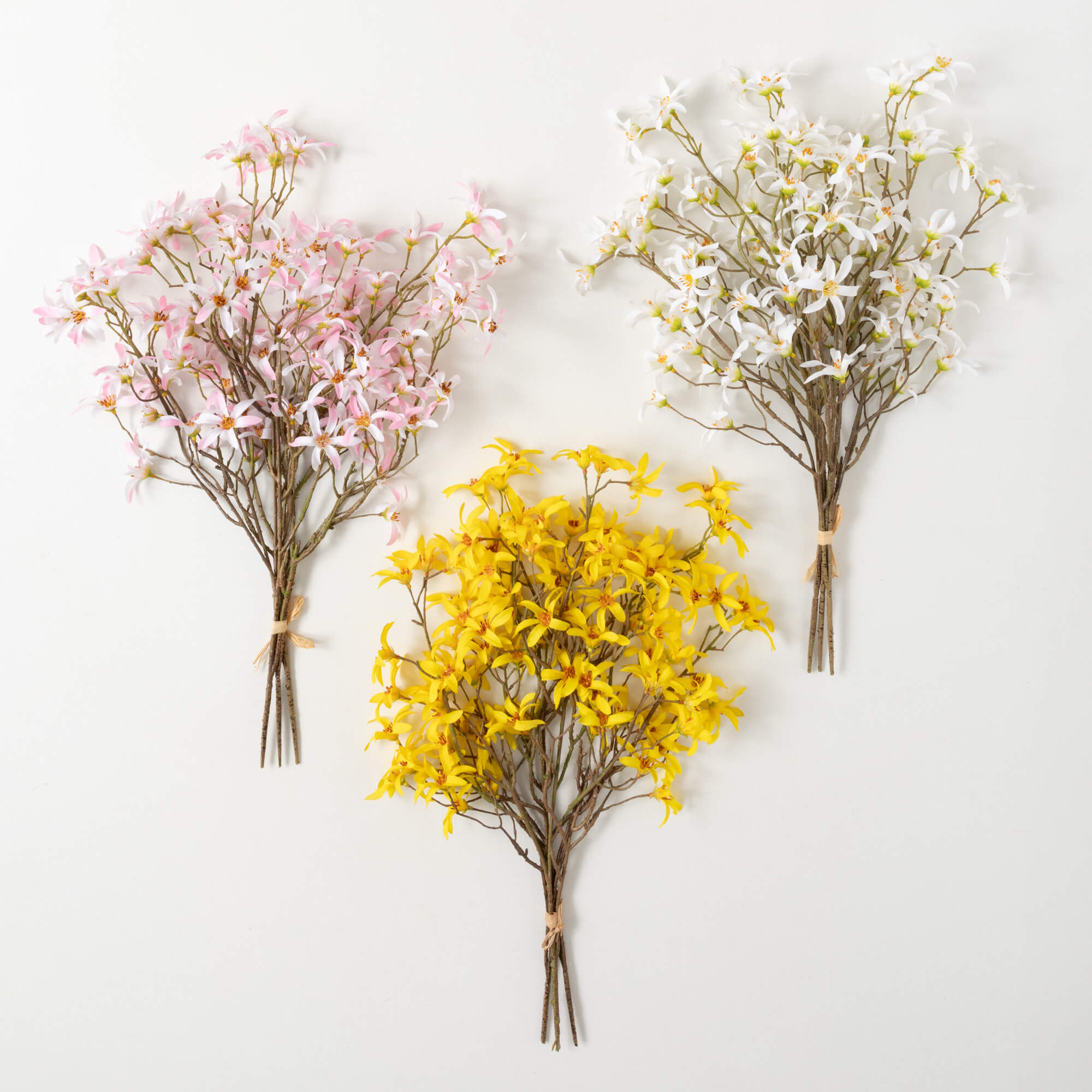 FORSYTHIA BUSH TRIO