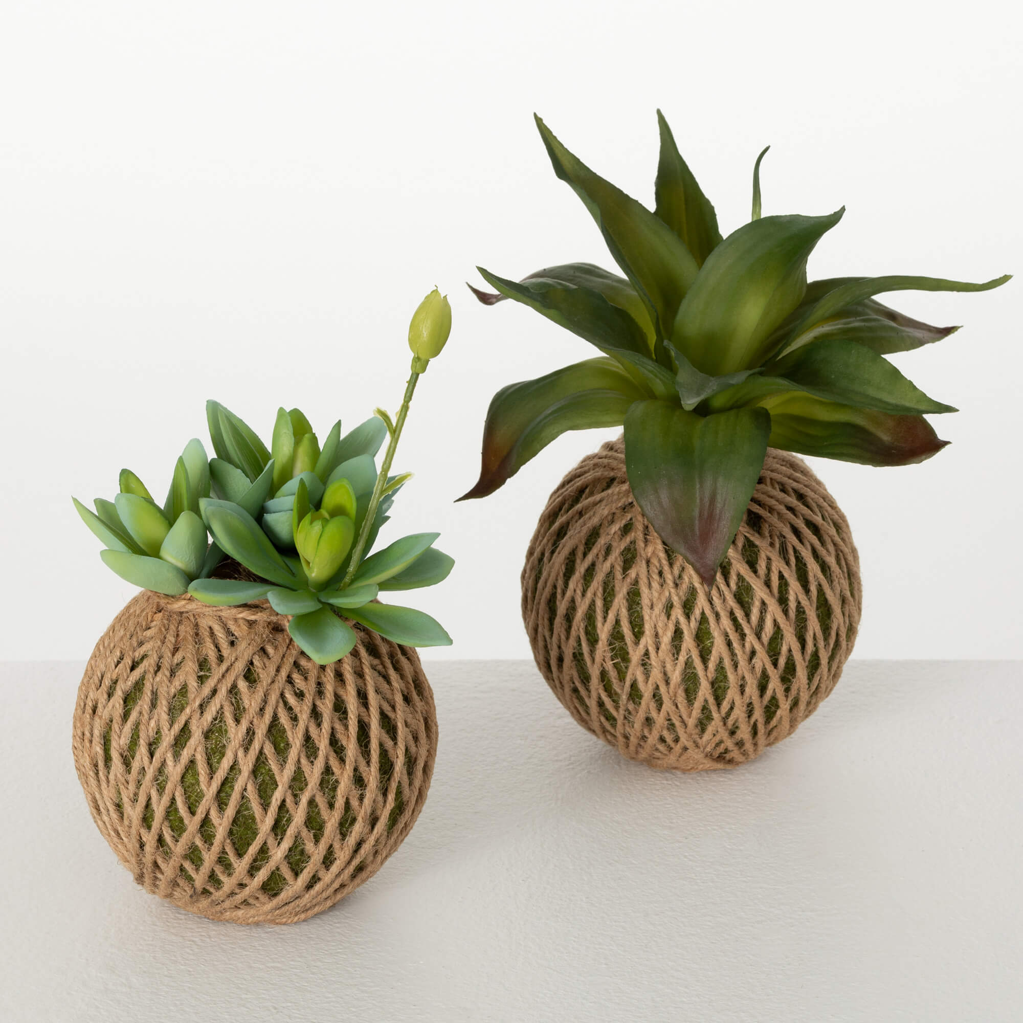 HANGING ALOE ORBS SET OF 2