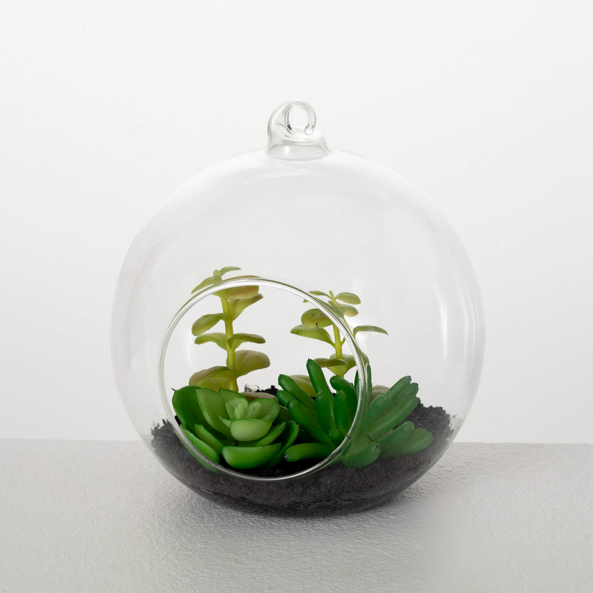 SUCCULENTS IN GLASS