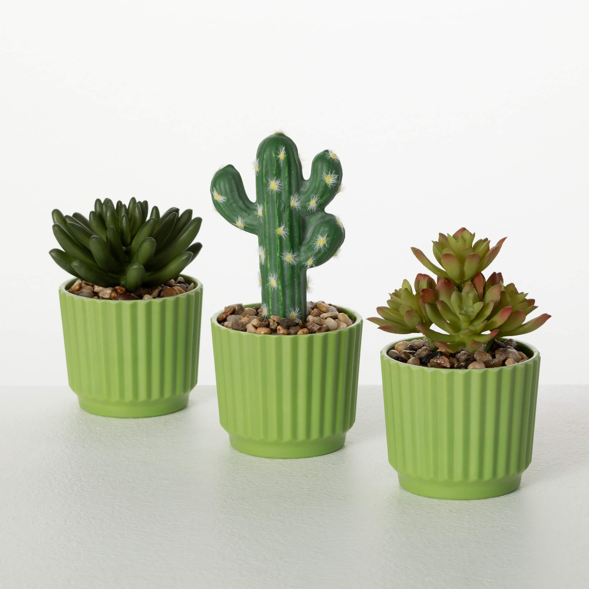 MINI POTTED SUCCULENT SET OF 3