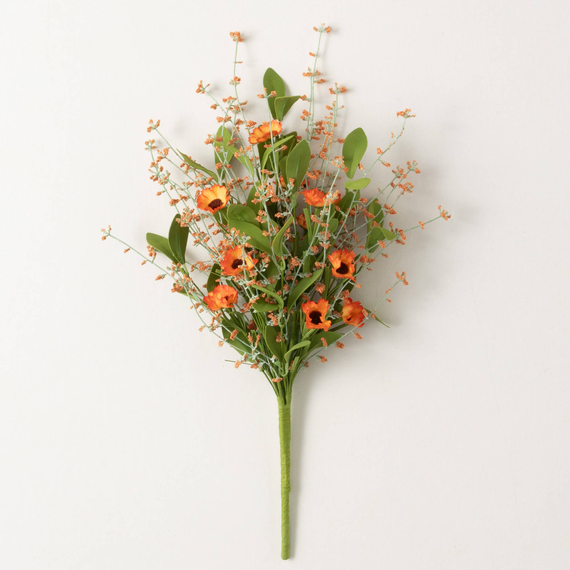 ORANGE WISPY DAISY BUSH