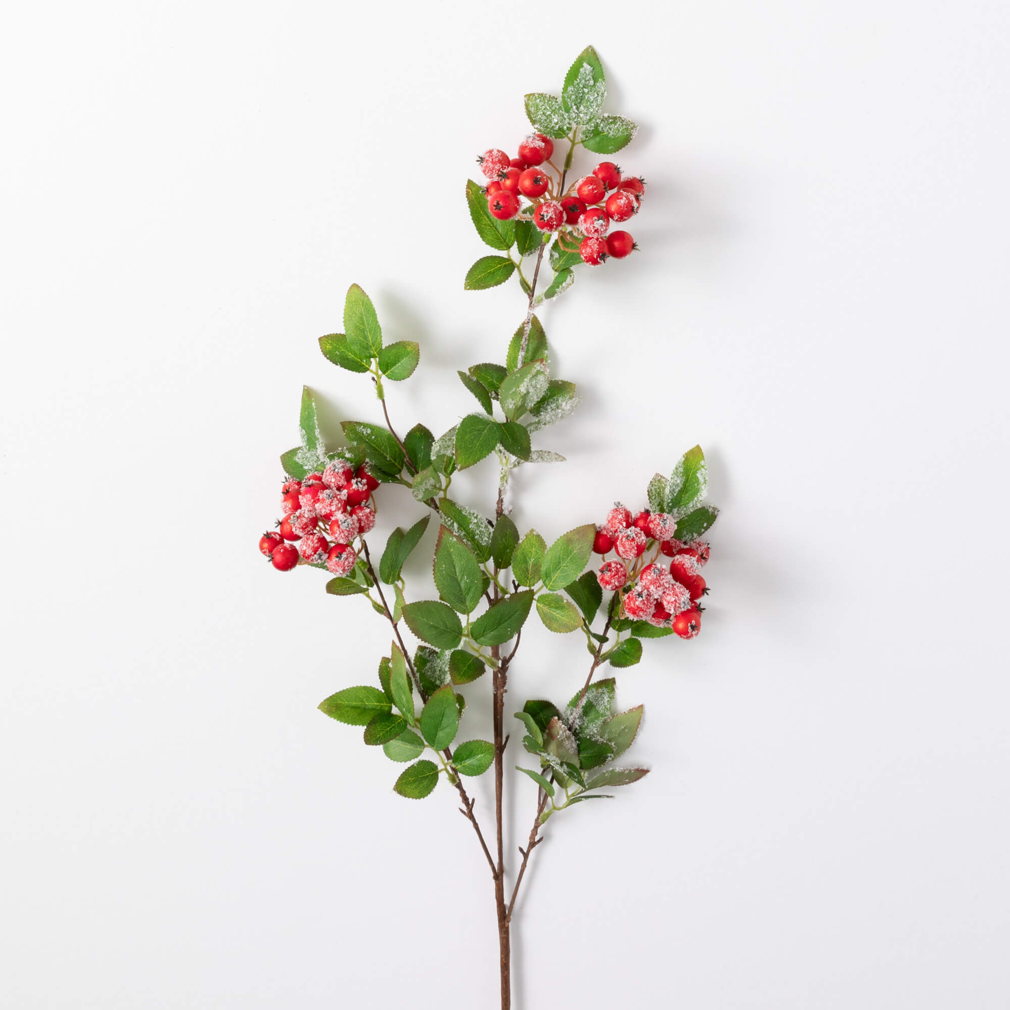 SNOWBERRY VINE SPRAY