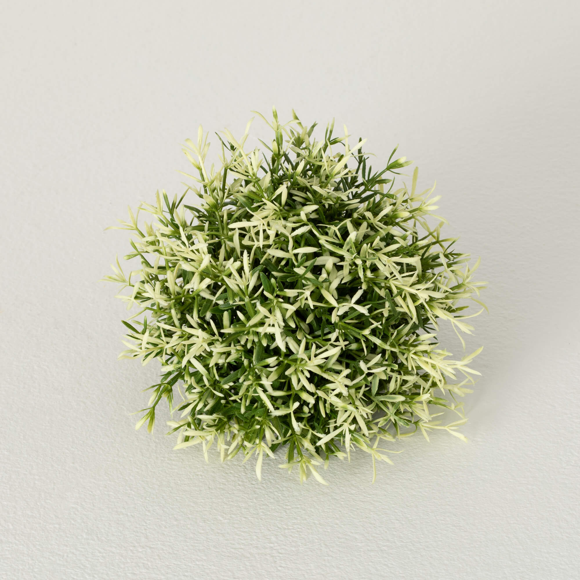 ROSEMARY ORB