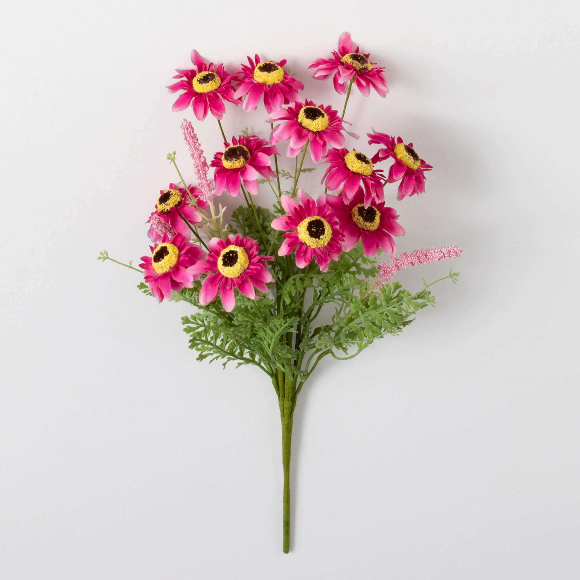 ZINNIA BUSH