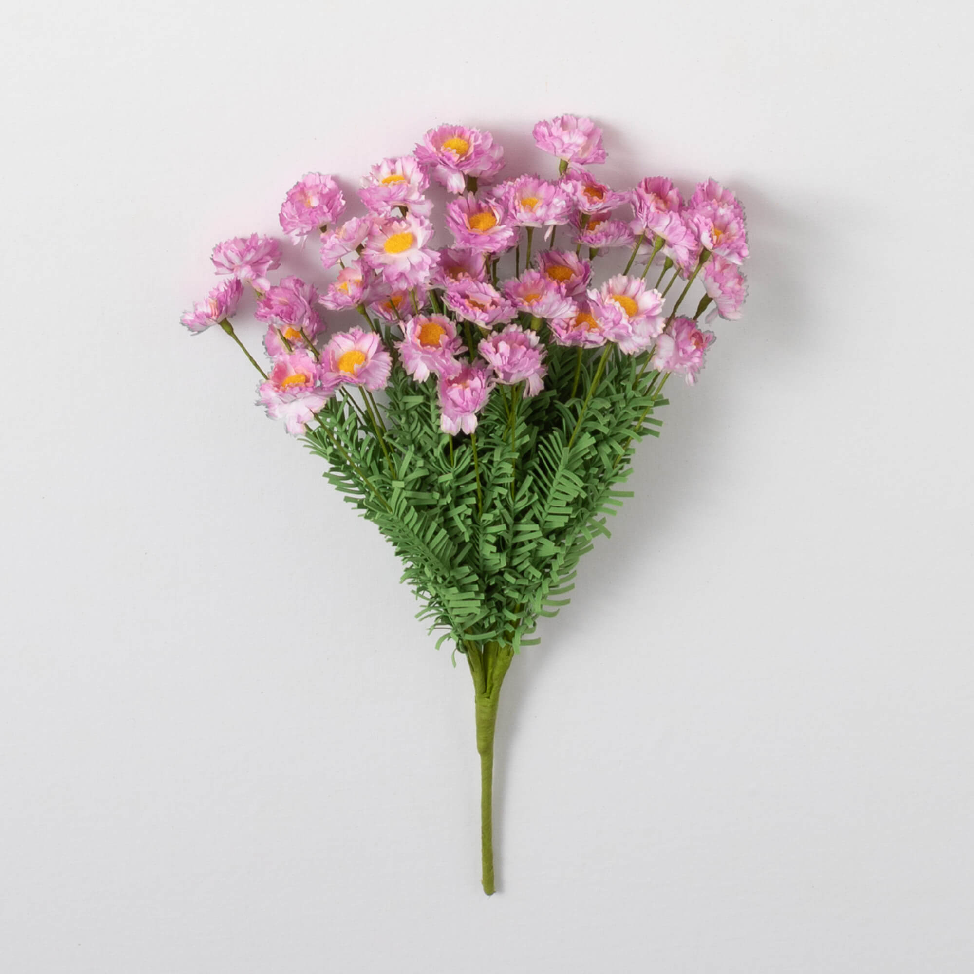 DAISY BUSH