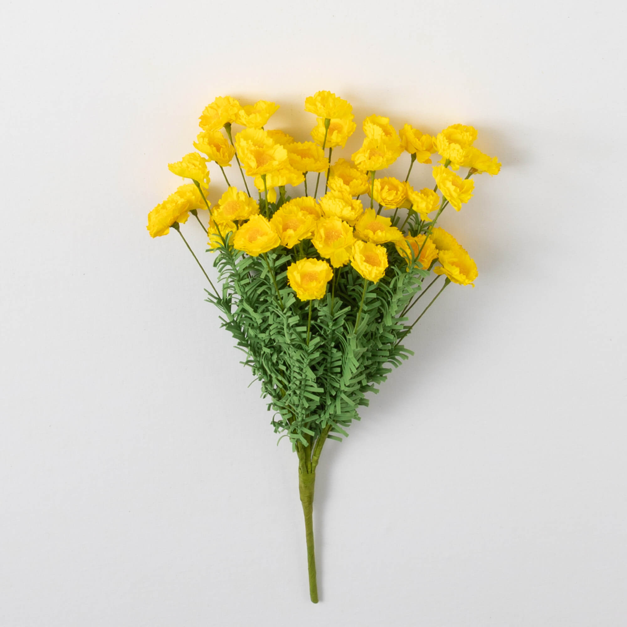 DAISY BUSH