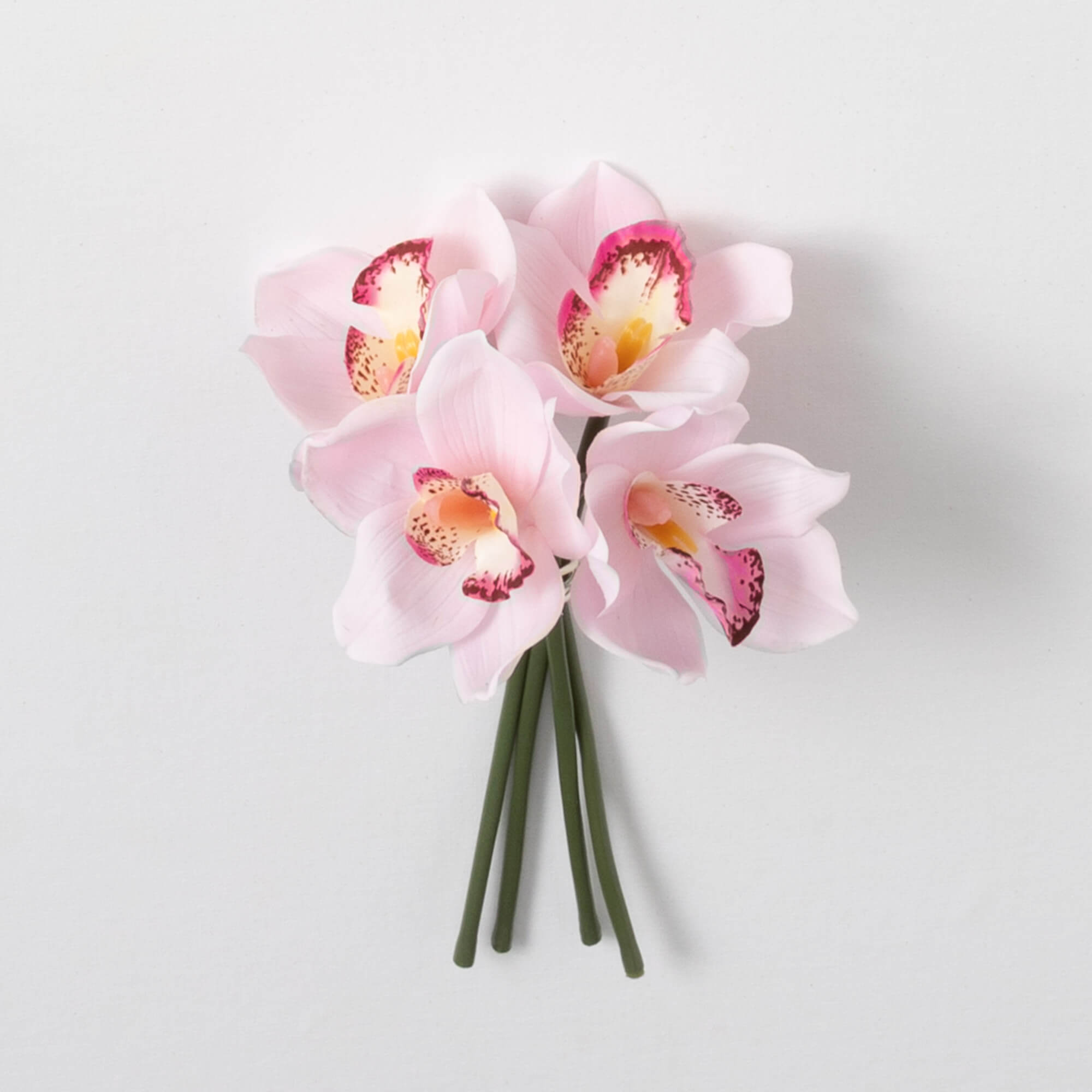 LILY BUSH