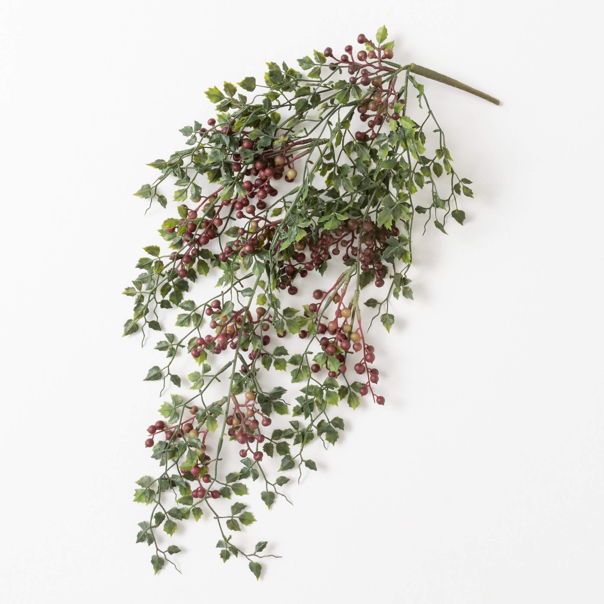 GRAPEVINE LEAVES BUSH