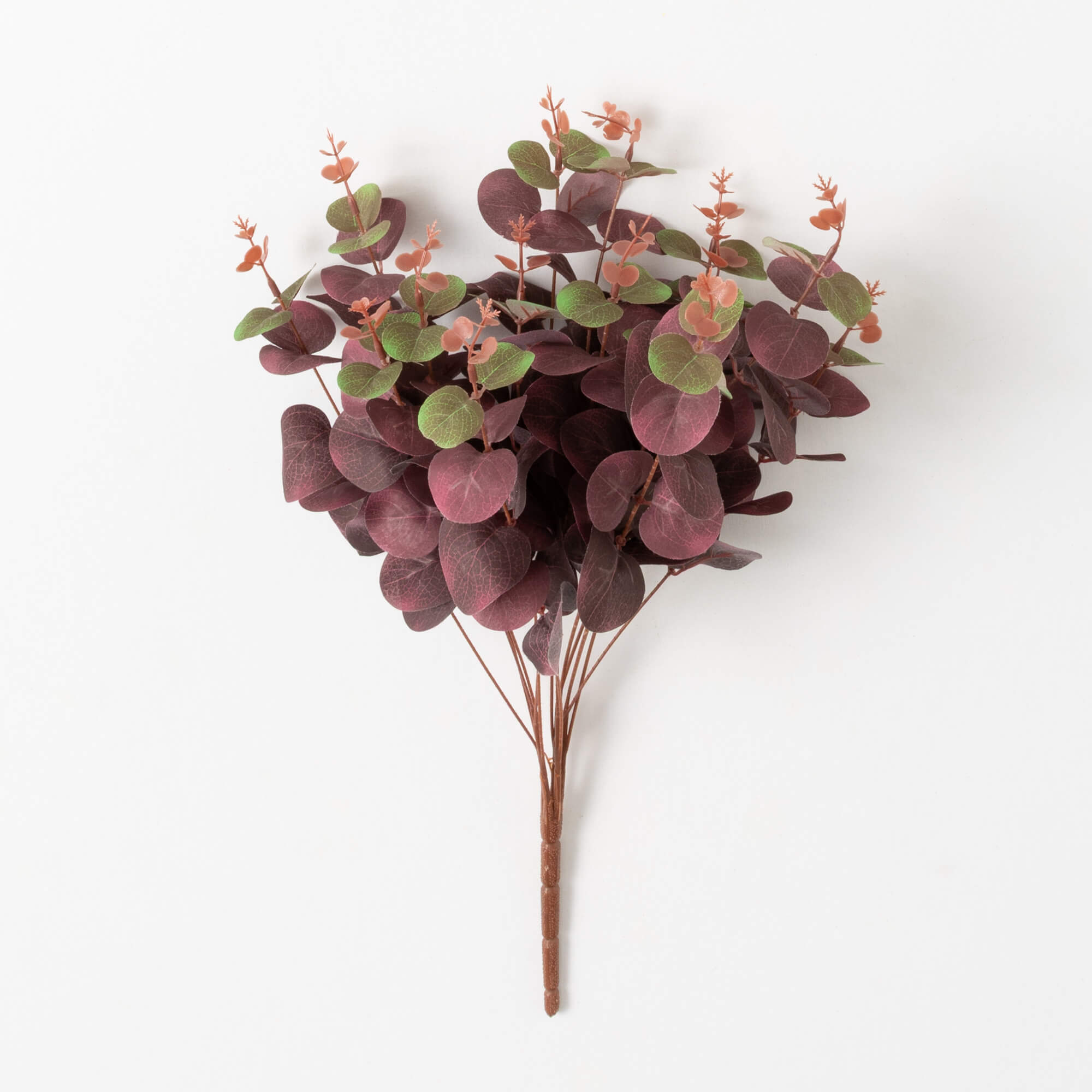 EUCALYPTUS BUSH