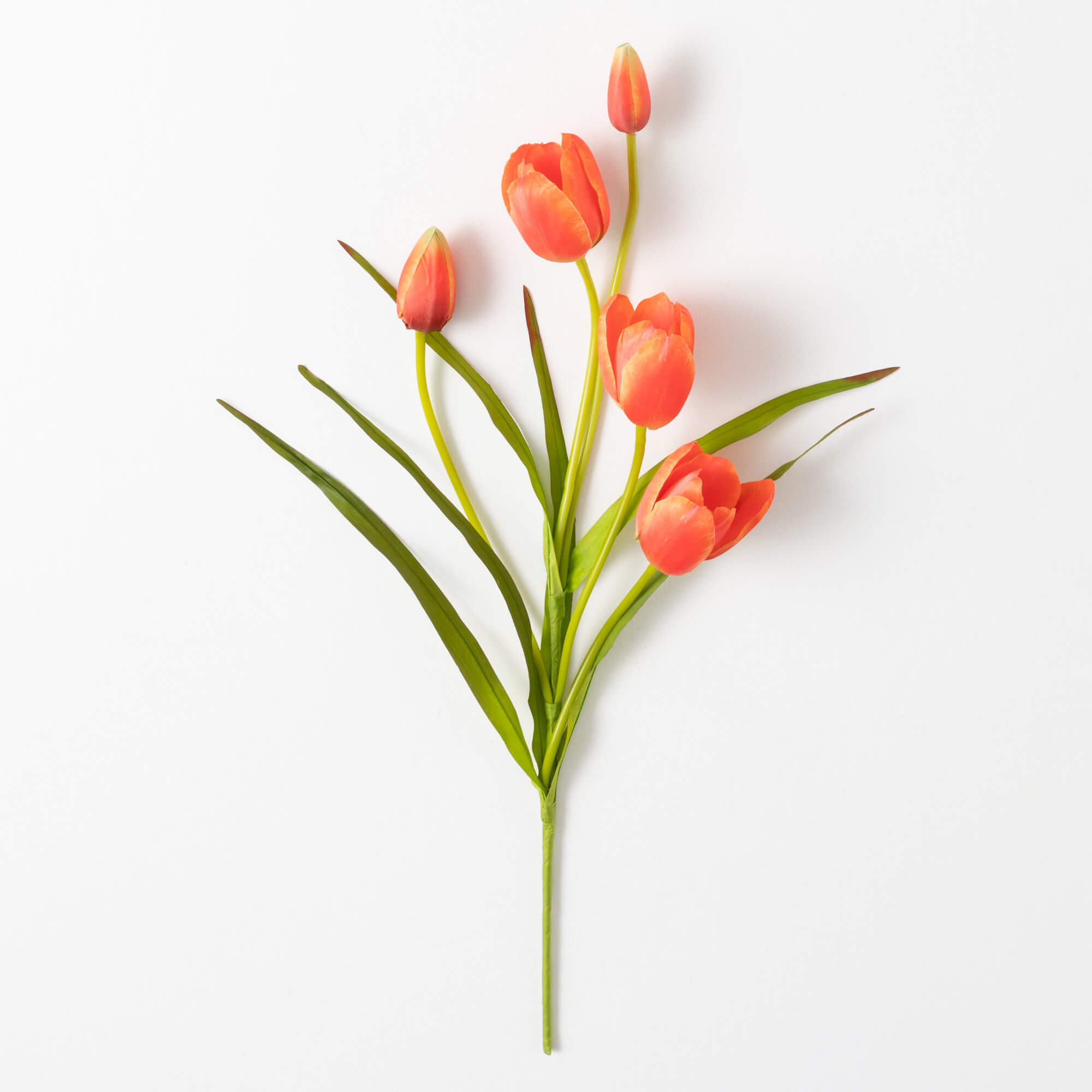 TULIP STEM