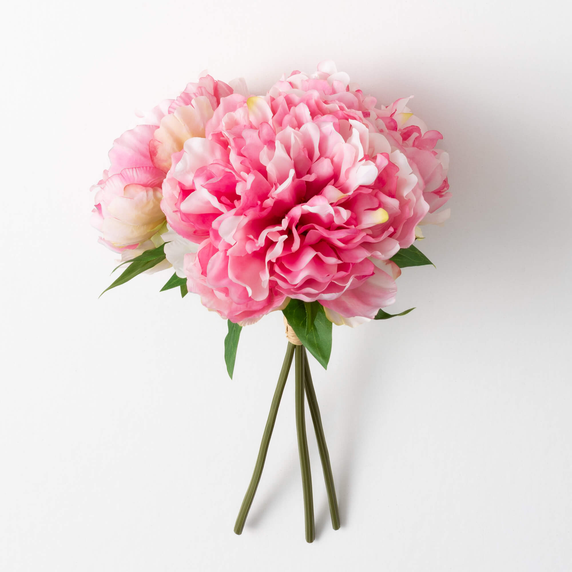 PEONY BUSH