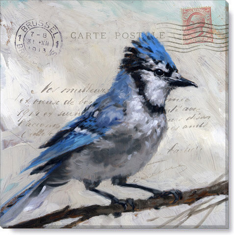 MESSENGER BLUE JAY GICLEE WALL