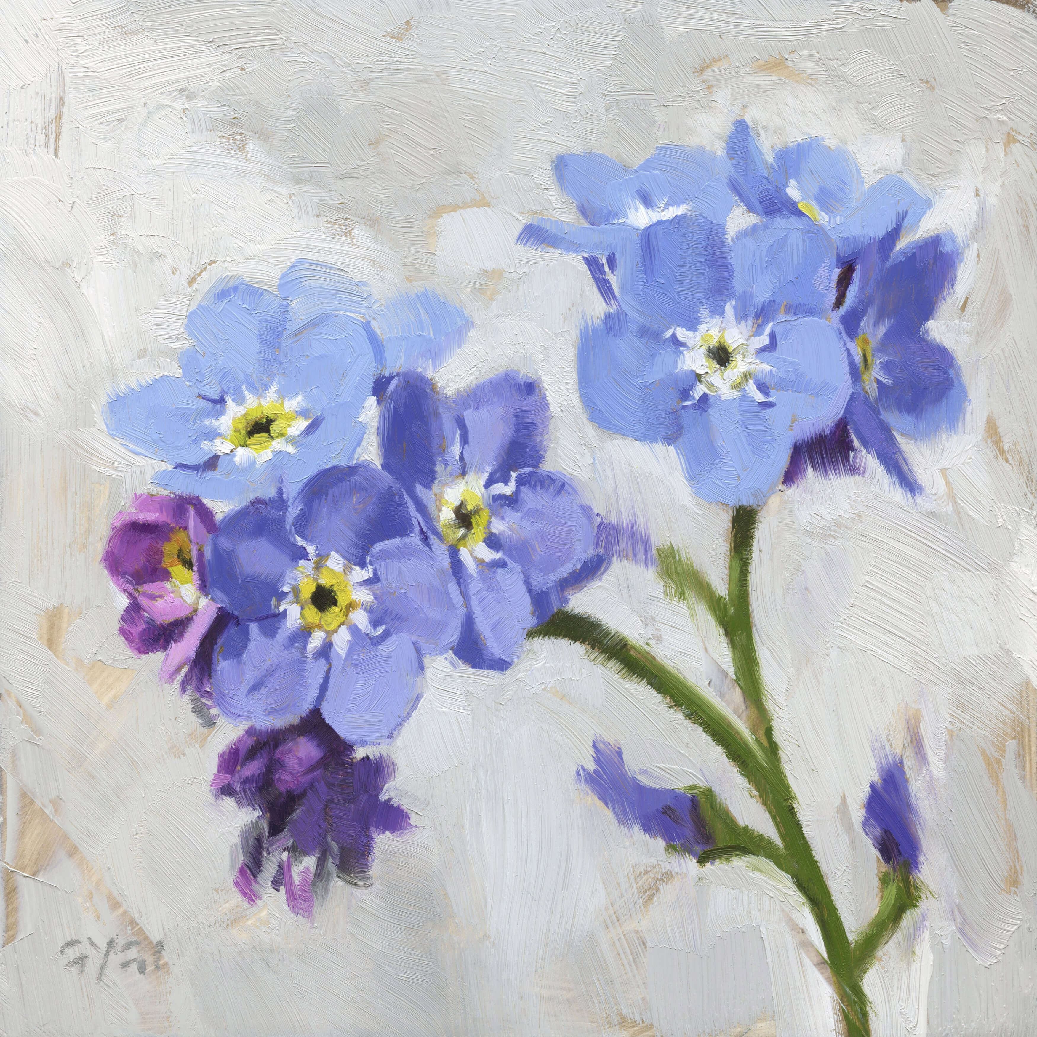 FORGET ME NOTS ARTWORK