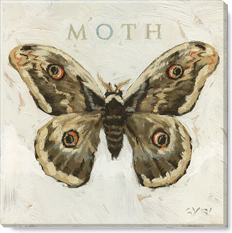 MOTH GICLEE WALL ART