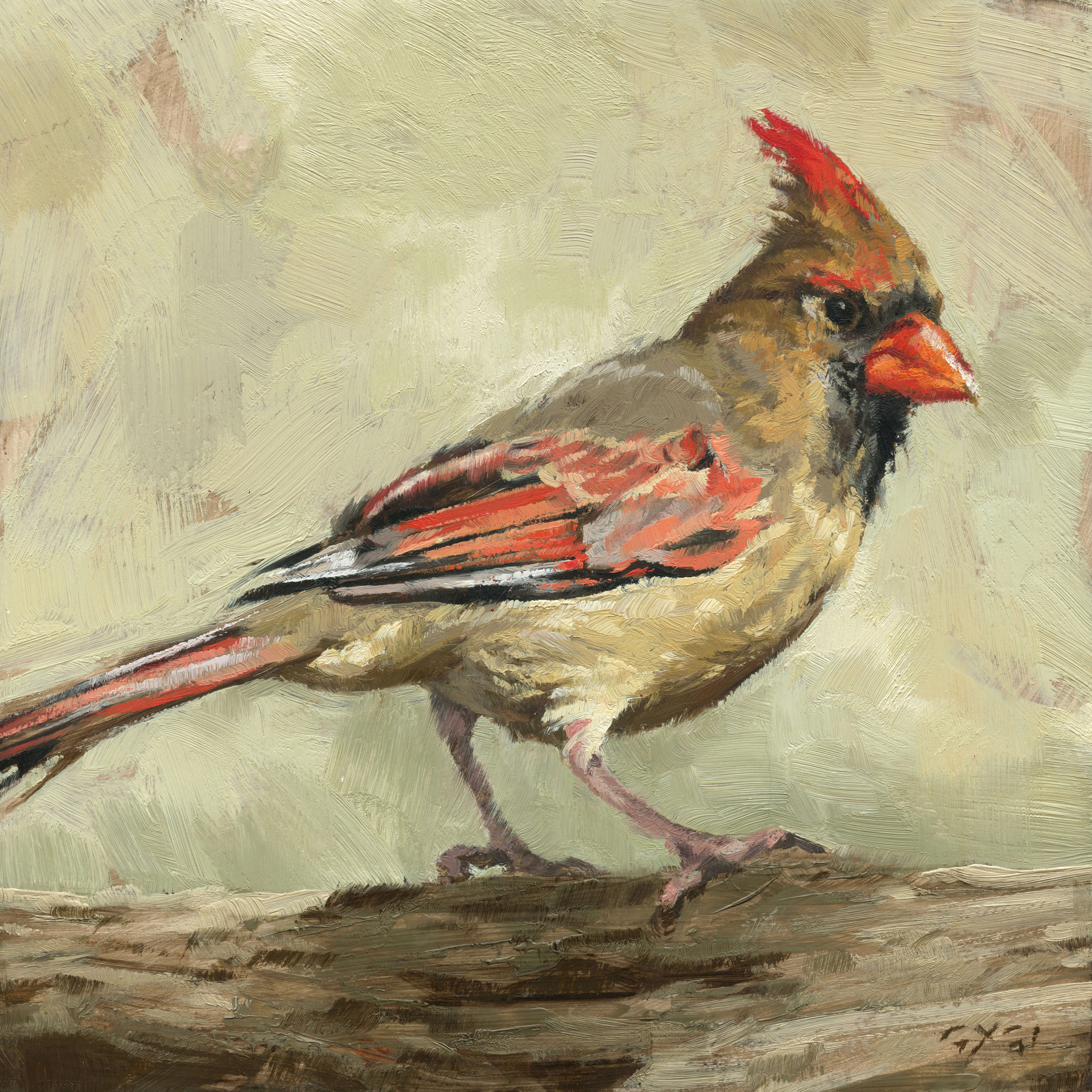 FEMALE CARDINAL ARTWORK