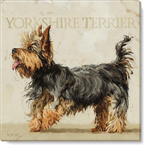 YORKSHIRE TERRIER WALL ART