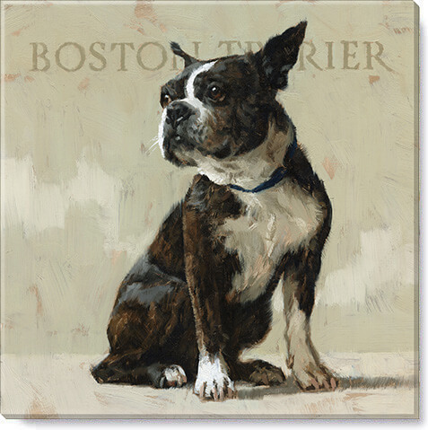 BOSTON TERRIER GICLEE WALL ART