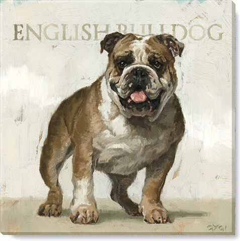 ENGLISH BULLDOG GICLEE WALL AR