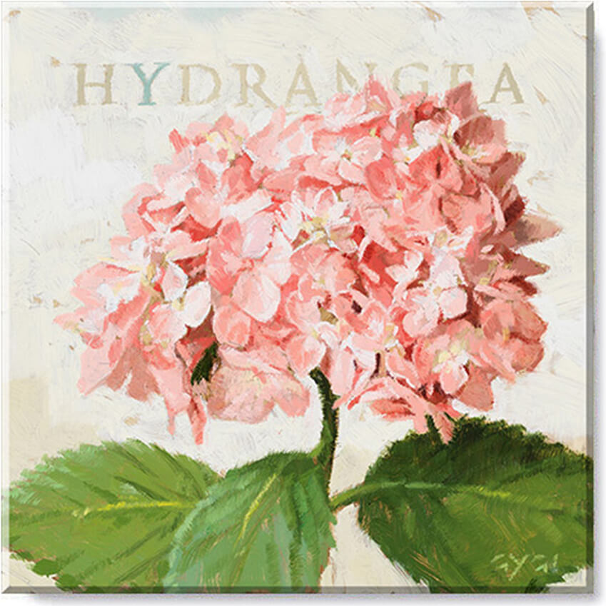 PINK HYDRANGEA GICLEE WALL ART